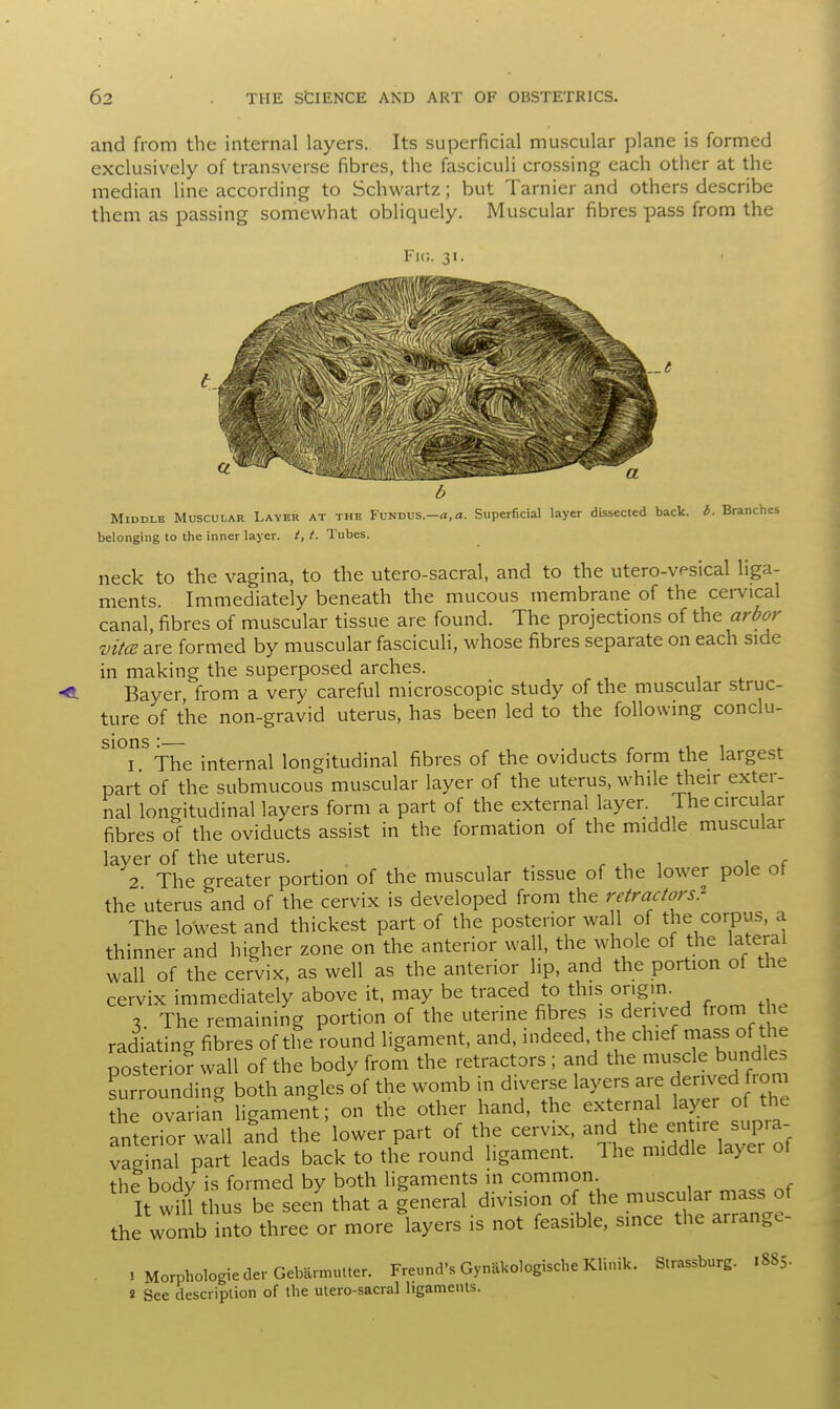 and from the internal layers. Its superficial muscular plane is formed exclusively of transverse fibres, the fasciculi crossing each other at the median line according to Schwartz; but Tarnier and others describe them as passing somewhat obliquely. Muscular fibres pass from the Fu;. 31. Middle Muscular Layer at the Fundus.-*, a. Superficial layer dissected back. b. Branches belonging to the inner layer, t, t. Tubes. neck to the vagina, to the utero-sacral, and to the utero-vesical liga- ments. Immediately beneath the mucous membrane of the cervical canal, fibres of muscular tissue are found. The projections of the arbor vitce are formed by muscular fasciculi, whose fibres separate on each side in making the superposed arches. Bayer from a very careful microscopic study of the muscular struc- ture of the non-gravid uterus, has been led to the following conclu- sions :— ., . . , ' 1 The internal longitudinal fibres of the oviducts form the largest part of the submucous muscular layer of the uterus, while their exter- nal longitudinal layers form a part of the external layer The circular fibres of the oviducts assist in the formation of the middle muscular layer of the uterus. . , 2 The greater portion of the muscular tissue of the lower pole of the uterus and of the cervix is developed from the retractors? The lowest and thickest part of the posterior wa 1 of the corpus, a thinner and higher zone on the anterior wall, the whole of the lateral wall of the cervix, as well as the anterior lip, and the portion of the cervix immediately above it, may be traced to this origin. 2 The remaining portion of the uterine fibres is derived from he radiating fibres of the round ligament, and, indeed the chief mass of he posterior wall of the body from the retractors ; and the muscle bundle, Surrounding both angles of the womb in diverse layers are derived from the ovarian ligament; on the other hand, the external layer of the anterior wall and the lower part of the cervix, and the en ire supra- vaginal part leads back to the round ligament. The middle layer of the bodv is formed by both ligaments in common. It wUl thus be sel that a general division of the muscular mass of the womb into three or more layers is not feasible, since the arrange- » Morphologic derGeb&nnulter. Frettnd's Gynakologische Klinik. Strassburg. 1885. 2 See description of the utero-sacral ligaments.