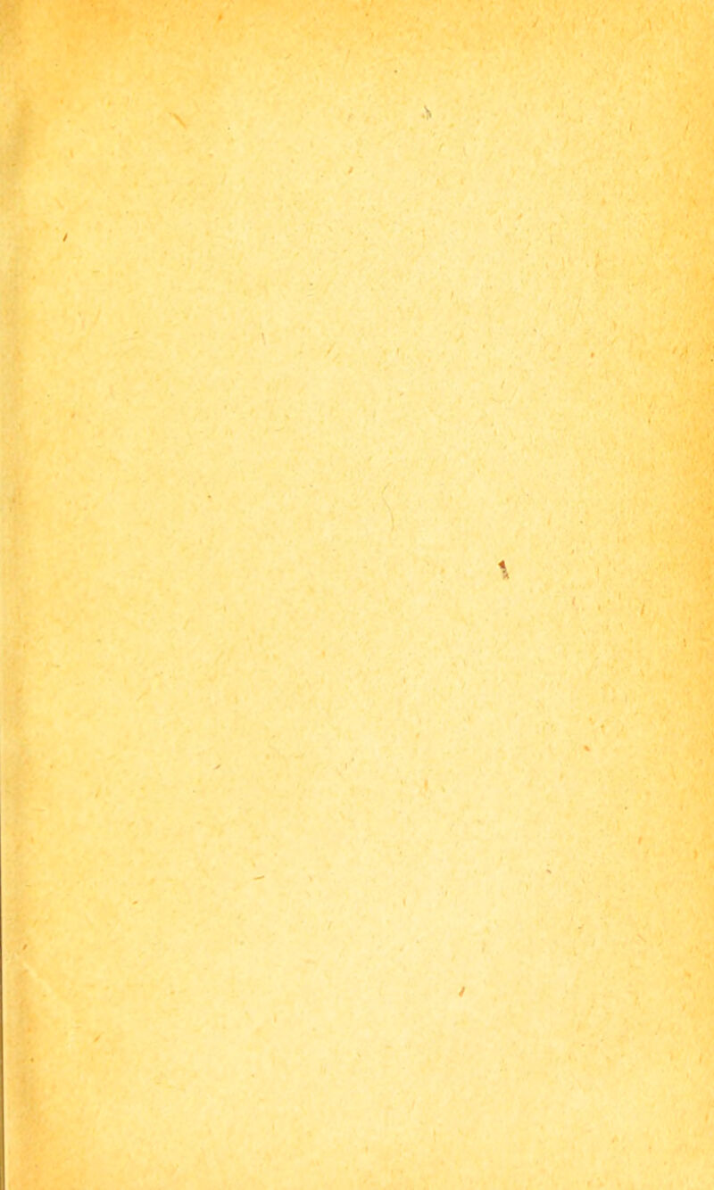 z- \ ■ *.' 1 \ / - ^ ■ ■ •. ' V ’ . -■ V ' ' Vi ■sfcr; ( i .V '■'*, • f’ \ * \ ' / \ / > % • I* . ‘ • •