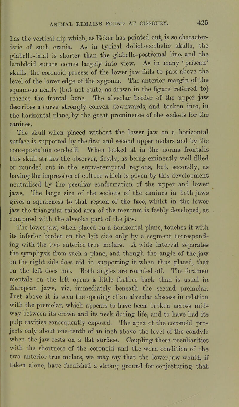 has the vertical dip which, as Ecker has pointed out, is so character- istic of such crania. As in typical dolichocephalic skulls, the g-lahello-inial is shorter than the glabello-postremal line, and the lambdoid suture comes largely into view. As in many 'priscan' skulls, the coronoid process of the lower jaw fails to pass above the level of the lower edge of the zygoma. The anterior margin of the squamous nearly (but not quite, as drawn in the figure referred to) reaches the frontal bone. The alveolar border of the upper jaw describes a curve strongly convex downwards, and broken into, in the horizontal plane, by the great prominence of the sockets for the canines. The skull when placed without the lower jaw on a horizontal surface is supported by the first and second upper molars and by the coneeptaculum cerebelli. When Idoked at in the norma frontalis this skull strikes the observer, firstly, as being eminently well filled or rounded out in the supra-temporal regions, but, secondly, as having the impression of culture which is given by this development neutralised by the peculiar conformation of the upper and lower jaws. The large size of the sockets of the canines in both jaws gives a squareness to that region of the face, whilst in the lower jaw the triangular raised area of the mentum is feebly developed, as compared with the alveolar part of the jsiw. The lower jaw, when placed on a horizontal plane, touches it with its infei'ior border on the left side only by a segment correspond- ing with the two anterior true molars. A wide interval separates the symphysis from such a plane, and though the angle of the jaw on the right side does aid in supporting it when thus placed, that on the left does not. Both angles are rounded off. The foramen men tale on the left opens a little further back than is usual in European jaws, viz. immediately beneath the second premolar. Just above it is seen the opening of an alveolar abscess in relation with the premolar, which appears to have been broken across mid-^ way between its crown and its neck during life, and to have had its pulp cavities consequently exposed. The apex of the coronoid pro- jects only about one-tenth of an inch above the level of the condyle ■when the jaw rests on a flat surface. Coupling these peculiarities with the shortness of the coronoid and the worn condition of thei two anterior true molars, we may say that the lower jaw would, if taken alone, have furnished a strong ground for conjecturing that