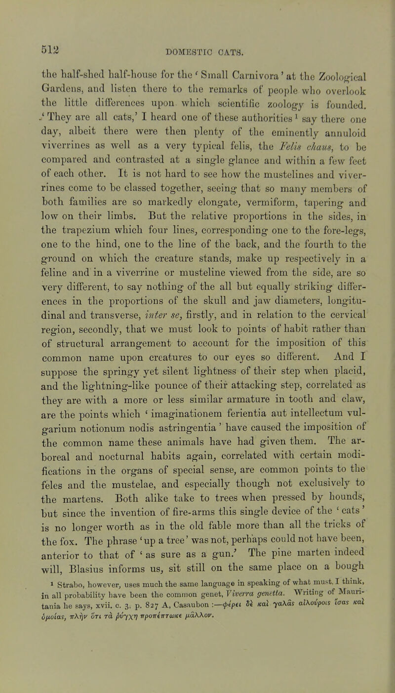 the half-shed half-house for the ^ Small Carnivora' at the Zoological Gardens, and listen there to the remarks of people who overlook the little differences upon which scientific zoology is founded. .* They are all cats,' I heard one of these authorities ^ say there one day, albeit there were then plenty of the eminently annuloid viverrines as well as a very typical felis, the Felia chaus, to be compared and contrasted at a single glance and within a few feet of each other. It is not hard to see how the mustelines and viver- rines come to be classed together, seeing that so many members of both families are so markedly elongate, vermiform, tapering and low on their limbs. But the relative proportions in the sides, in the trapezium which four lines, corresponding one to the fore-legs, one to the hind, one to the line of the back, and the fourth to the ground on which the creature stands, make up respectively in a feline and in a viverrine or musteline viewed from the side, are so very different, to say nothing of the all but equally striking differ- ences in the proportions of the skull and jaw diameters, longitu- dinal and transverse, inter se, firstly, and in relation to the cervical region, secondly, that we must look to points of habit rather than of structural arrangement to account for the imposition of this common name upon creatures to our eyes so different. And I suppose the springy yet silent lightness of their step when placid, and the lightning-like pounce of their attacking step, correlated as they are with a more or less similar armature in tooth and claw, are the points which ' imaginationem ferientia aut intellectum vul- garium notionum nodis astringentia' have caused the imposition of the common name these animals have had given them. The ar- boreal and nocturnal habits again, correlated with certain modi- fications in the organs of special sense, are common points to the feles and the mustelae, and especially though not exclusively to the martens. Both alike take to trees when pressed by hounds, but since the invention of fire-arms this single device of the ' eats' is no longer worth as in the old fable more than all the tricks of the fox. The phrase 'up a tree' was not, perhaps could not have been, anterior to that of ' as sure as a gun.' The pine marten indeed will, Blasius informs us, sit still on the same place on a bough » Strabo, however, uses much the same language in speaking of what must. I think, in all probability have been the common genet, Vivcrra genetta. Writing of^Mauri- tania he says, xvii. c. 3, p. 827 A, Casaubon :—^6>€i Si Koi ')[a\as aiKoiipois taas koX dfxoias, irXfjv uti tcL pvyxV TpoirinTUKi fidWov.