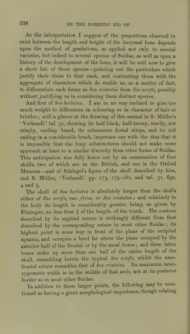 As the interpretation I suggest of the proportions observed to exist between the length and height of the lacrymal bone depends upon the method of gradations, as applied not ohly to several varieties, but indeed to several species of Suidae, as well as upon a history of the development of the bone, it will be well now to give a short list of those species—pointing out the particulars which justify their claim to that rank, and contrasting them with the aggregate of characters which do enable us, as a matter of fact, to differentiate such forms as Sus cristatus from Sus scrofa, possibly without justifying us in considering them distinct species. And first of Sus barbalus. I am in no way inclined to give too much weight to differences in colouring or in character of hair or bristles; still a glance at the drawing of this animal in S. Miiller's ' Verhandl/ taf. 30, showing its half-black, half-tawny, wavily, not crisply, curling beard, its ochraceous dorsal stripe, and its tail ending in a considerable brush, impresses one with the idea that it is impossible that the bony substructures should not make some approach at least to a similar diversity from other forms of Suidae. This anticipation was fully borne out by an examination of four skulls, two of which are in the British, and one in the Oxford Museum—and of Schlegel's figure of the skull described by him, and S. Miiller, 'Verhandl.' pp. 173, 179-181, and taf. 31. figs. 4 and 5. The skull of Sus harbatus is absolutely longer than the skulls either of Sus scrofa, var. ferus, or Sus cristatus; and relatively to the body its length is considerably greater, being, as given by Fitzinger, no less than | of the length of the trunk. The contour described by its sagittal suture is strikingly different from that described by the corresponding suture in most other Suidae ; its highest point is some way in front of the plane of the occipital squama, and occupies a level far above the plane occupied by the anterior half of the frontal or by the nasal bones ; and these latter bones make up more than one half of the entire length of the skull, resembling herein the typical Sns scrofa, whilst the naso- frontal suture resembles that of Sus cristatus. Its maximum inter- zygomatic width is in the middle of that arch, not at its posterior border as in most other Suidae. In addition to these larger points, the following may be men- tioned as having a great morphological importance, though relating