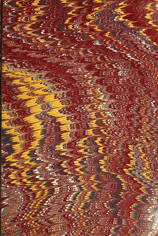 No text description is available for this image