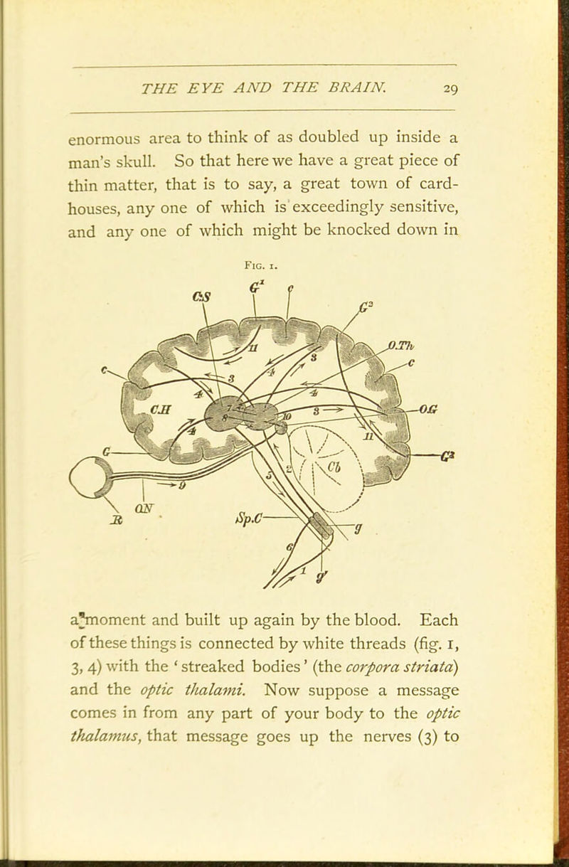 enormous area to think of as doubled up inside a man’s skull. So that here we have a great piece of thin matter, that is to say, a great town of card- houses, any one of which is exceedingly sensitive, and any one of which might be knocked down in Fig. 1. aVnoment and built up again by the blood. Each of these things is connected by white threads (fig. 1, 3, 4) with the ‘ streaked bodies ’ (the corpora striata) and the optic thalami. Now suppose a message comes in from any part of your body to the optic thalamus, that message goes up the nerves (3) to