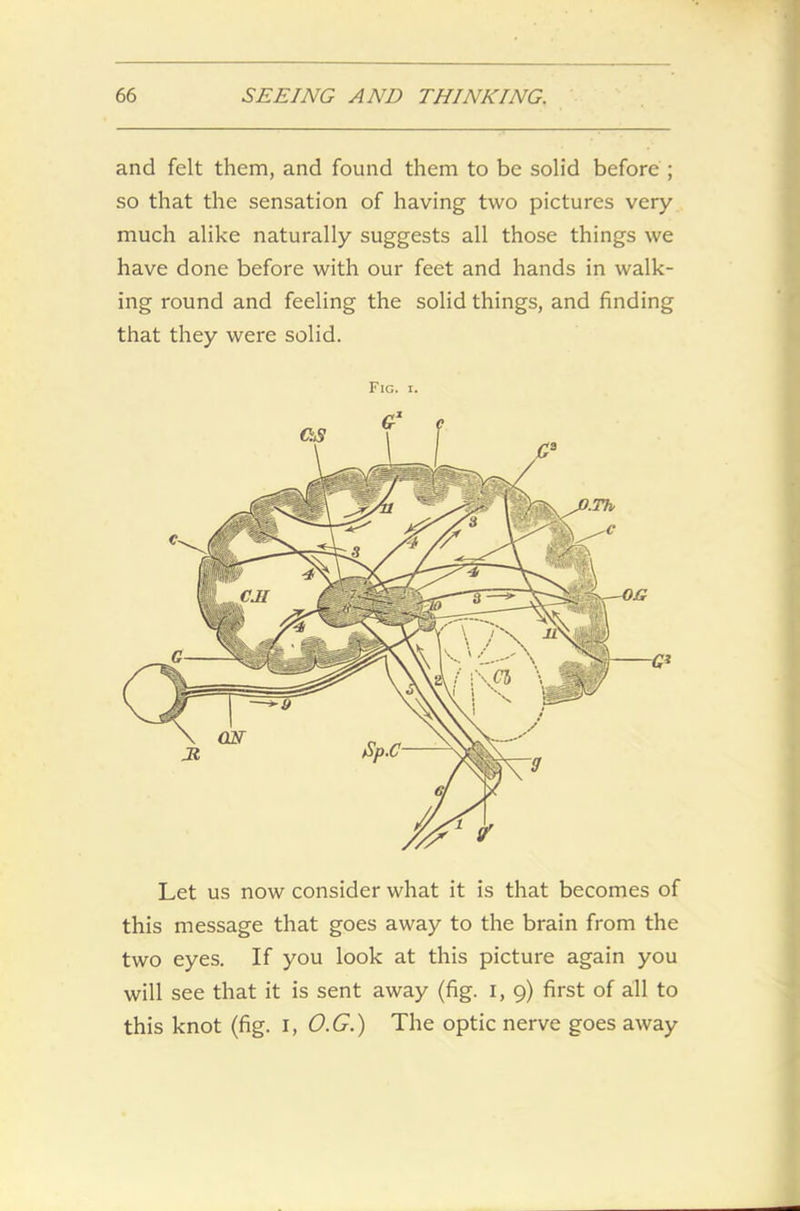 and felt them, and found them to be solid before ; so that the sensation of having two pictures very much alike naturally suggests all those things we have done before with our feet and hands in walk- ing round and feeling the solid things, and finding that they were solid. Fig. i. Let us now consider what it is that becomes of this message that goes away to the brain from the two eyes. If you look at this picture again you will see that it is sent away (fig. I, 9) first of all to this knot (fig. I, O.G.) The optic nerve goes away