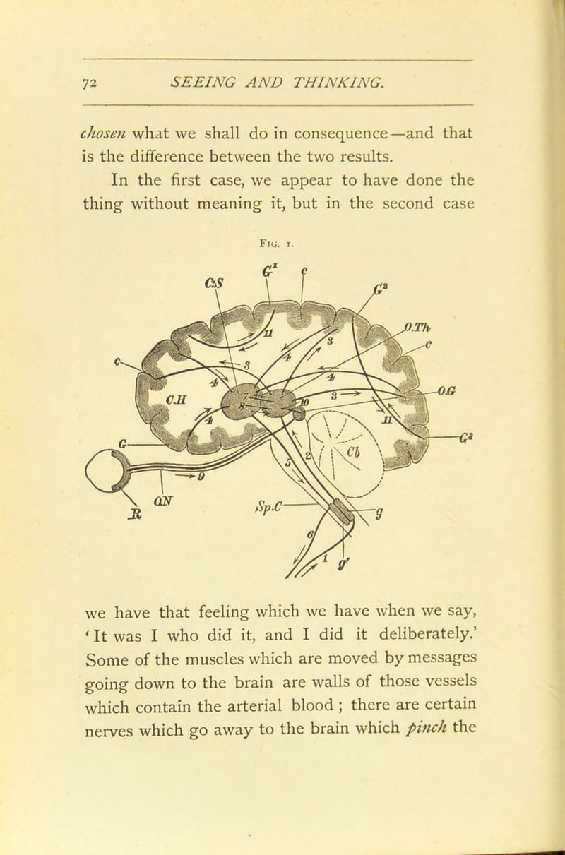 chosen what we shall do in consequence—and that is the difference between the two results. In the first case, we appear to have done the thing without meaning it, but in the second case Fig. i. we have that feeling which we have when we say, ‘ It was I who did it, and I did it deliberately.’ Some of the muscles which are moved by messages going down to the brain are walls of those vessels which contain the arterial blood ; there are certain nerves which go away to the brain which pinch the