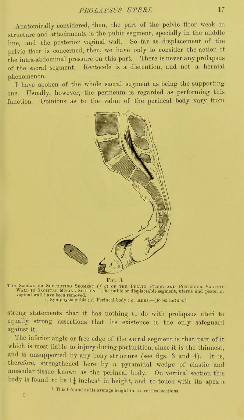 Anatomically considered, then, the part of the pelvic floor weak in structure and attachments is the pubic segment, specially in the middle line, and the posterior vaginal wall. So far as displacement of the pelvic floor is concerned, then, we have only to consider the action of the intra-abdominal pressure on this part. There is never any prolapsus of the sacral segment. Rectocele is a distention, and not a hernial phenomenon. I have spoken of the whole sacral segment as being the supporting one. Usually, however, the perineum is regarded as performing this function. Opinions as to the value of the perineal body vary from Fig. 3. The SACRA.L or Supporting Segment (/ g) of the Pelvic Floor and Posterior Vaginal Wall in Sagittal Mesial Section. The pubic or displaceable segment, uterus and posterior vaginal wall have been removed. e, Symphysis pubis ;/, Perineal body ; g, A.n\is.—{Frmn nature.) strong statements that it has nothing to do with prolapsus uteri to equally strong assertions that its existence is the only safeguard against it. The inferior angle or free edge of the sacral segment is that part of it which is most liable to injury during parturition, since it is the thinnest, and is unsupported by any bony structure (see figs. 3 and 4). It is, therefore, strengthened here by a pyramidal wedge of elastic and muscular tissue known as the perineal body. On vertical section this body is found to be inches^ in height, and to touch with its apex a 1 TliiH I found as its average heiglit in hIx vertical sections. C