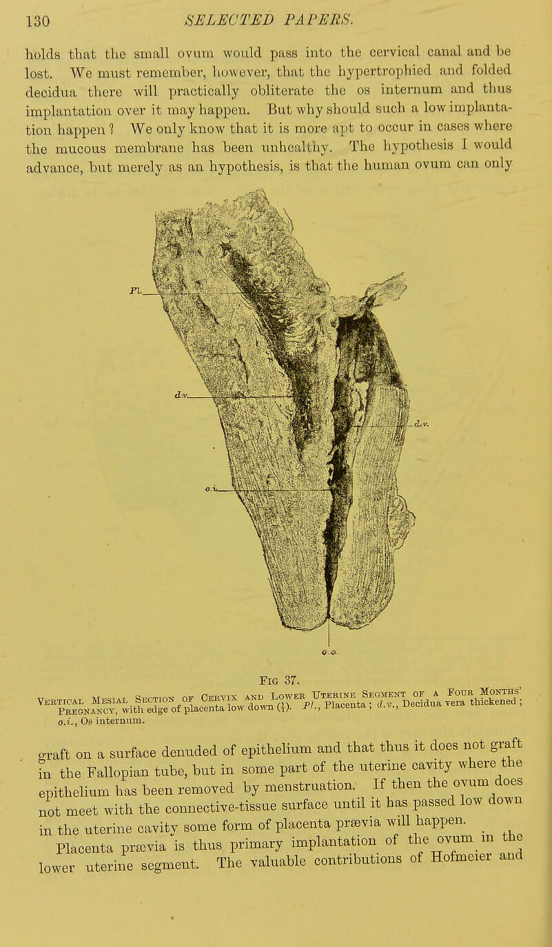 holds that the small ovum would pass into the cervical canal and be lost. We must remember, however, that the hypertrophied and folded decidua there will practically obliterate the os internum and thus implantation over it naay happen. But why should such a low implanta- tion happen 1 We only know that it is more apt to occur in cases where the mucous membrane has been unhealthy. The hypothesis I would advance, but merely as an hypothesis, is that the human ovum can only .<Lv. Fig 37. o.i., Os internum. graft on a surface denuded of epithelium and that thus it does not graft in the Fallopian tube, but in some part of the uterine cavity where the epithelium has been removed by menstruation. If then the ovum does not meet with the connective-tissue surface until it has passed low down in the uterine cavity some form of placenta previa will happen. _ Placenta preevia is thus primary implantation of the ovum m the lower uterine segment. The valuable contributions of Hofmeier and