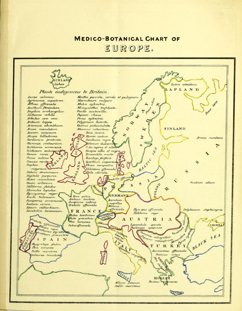 Aanus caZcarttUi. Aivethicm /herucuiunv. Anitveirus iwUZis . Arbulias oa/ou i4rjty. Arbermsui- cufsvrUAiurn,. jArum- rna-CLticUiciTv. Atrgpoy belladoivi'ux^. Cordou-rui praiert^M ■ Chi^rcmici' centozoriMrv. Colchicicniy Gxriaiv car'UJL'. Crocus saHvus Daphrvc, - Datura- ^lratn/>nuaJiy. Ihaitaiis pwyruyea^. Jiocus ijdsiculosus. Getarv urioomrtiy. Helleborus ybetit/hcs. Inula, fvelervuiJ-n.. « Rosa, ^aiica, T ■ /X Anofiusa- Imctcria Xvnwn, caihourHcttrrf. \ r R A K C E yraveolet SalnciffioinoLlCe Marrulfium' t/uZ^cxre. Jhpaver rhcecte ■ Querrus pMU,atx:uiciia' Roso- c•a>^il^'ll,. IRumea> et-oe-tcsa,. Sctrniu,cu,s ni^i ■'^•ij/ix- c<yorea, et eref Sparii/,on scop ZMmue cofTyae^fr