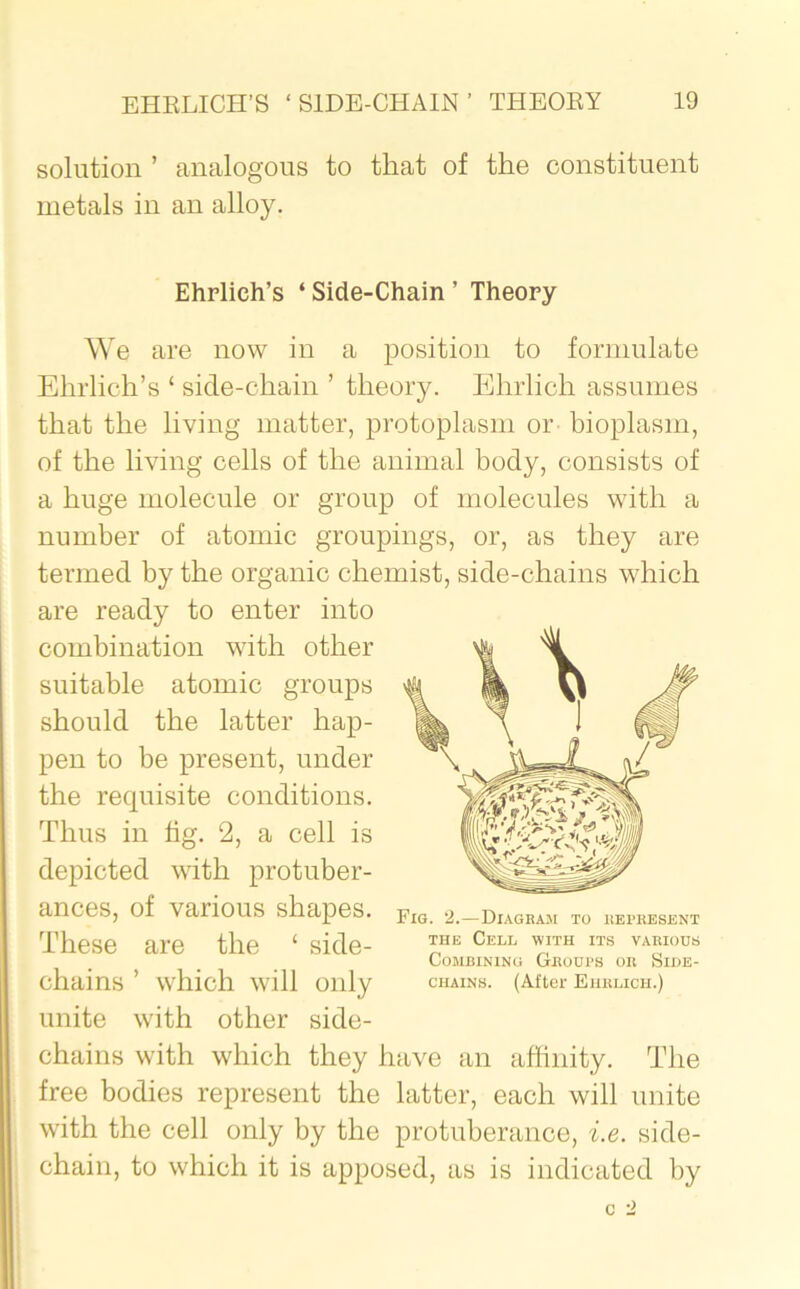 solution ’ analogous to that of the constituent metals in an alloy. Ehrlich’s ‘ Side-Chain ’ Theory We are now in a position to formulate Ehrlich’s ‘ side-chain ’ theory. Ehrlich assumes that the living matter, protoplasm or bioplasm, of the living cells of the animal body, consists of a huge molecule or group of molecules with a number of atomic groupings, or, as they are termed by the organic chemist, side-chains which are ready to enter into combination with other suitable atomic groups should the latter hap- pen to be present, under the requisite conditions. Thus in fig. 2, a cell is depicted with protuber- ances, of various shapes. These are the ‘ side- chains ’ which will only unite with other side- chains with which they have an affinity. The free bodies represent the latter, each will unite with the cell only by the protuberance, i.e. side- chain, to which it is apposed, as is indicated by Fig. 2.—Diagram to represent the Cell with its various Combining Groups or Side- chains. (After Ehrlich.)