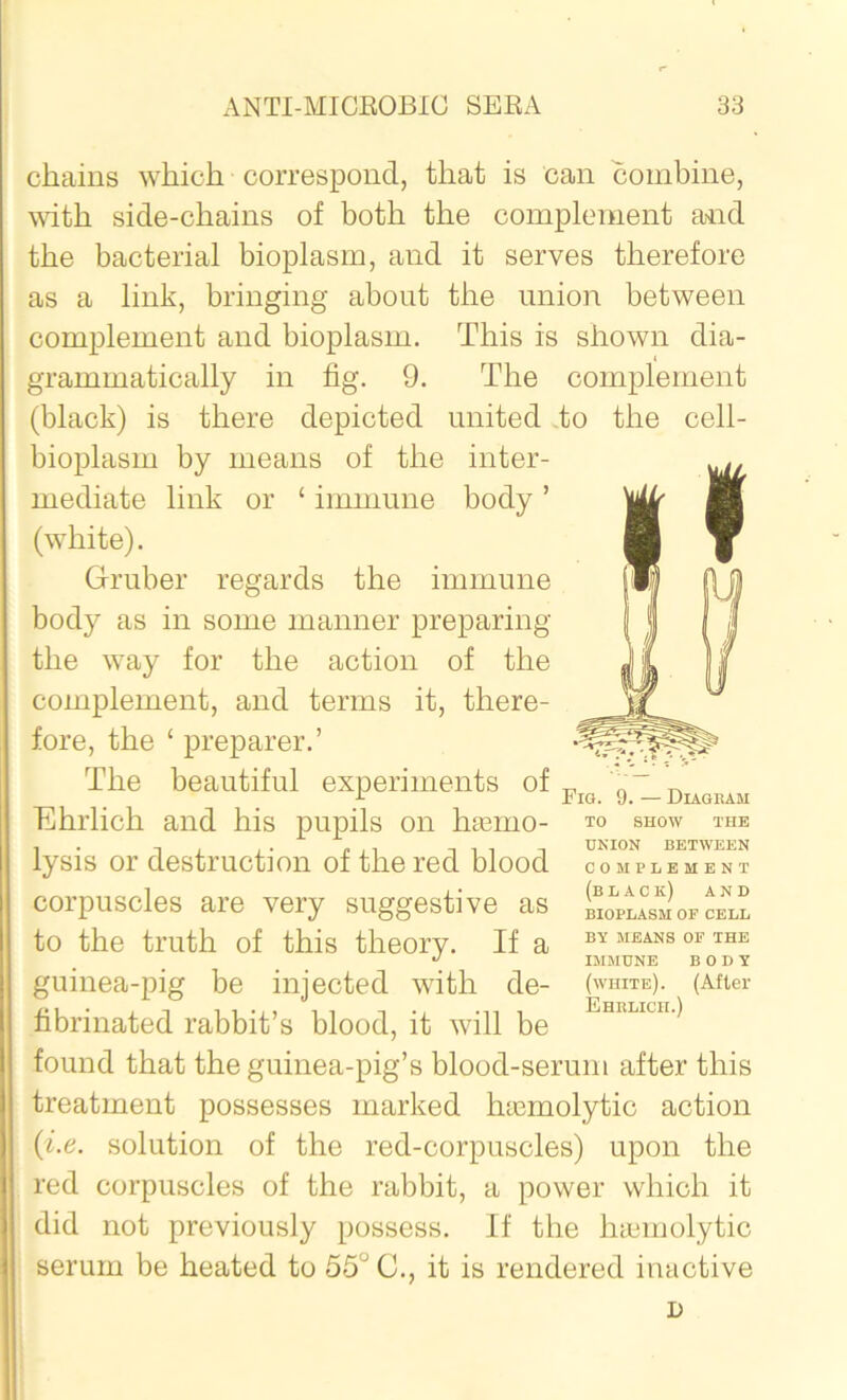 chains which correspond, that is can combine, with side-chains of both the complement and the bacterial bioplasm, and it serves therefore as a link, bringing about the union between complement and bioplasm. This is shown dia- grammatically in fig. 9. The complement (black) is there depicted united to the cell- bioplasm by means of the inter- mediate link or ‘ immune body ’ (white). Gruber regards the immune body as in some manner preparing the way for the action of the complement, and terms it, there- fore, the ‘ preparer.’ The beautiful experiments of Ehrlich and his pupils on hemo- lysis or destruction of the red blood corpuscles are very suggestive as to the truth of this theory. If a guinea-pig be injected with de- fibrinated rabbit’s blood, it will be found that the guinea-pig’s blood-serum after this treatment possesses marked hemolytic action (he. solution of the red-corpuscles) upon the red corpuscles of the rabbit, a power which it did not previously possess. If the hemolytic serum be heated to 55° C., it is rendered inactive i> Fig. 9. — Diagram TO SHOW THE UNION BETWEEN COMPLEMENT (black) AND BIOPLASM OF CELL BY MEANS OF THE IMMUNE BODY (white). (After Ehrlicii.)