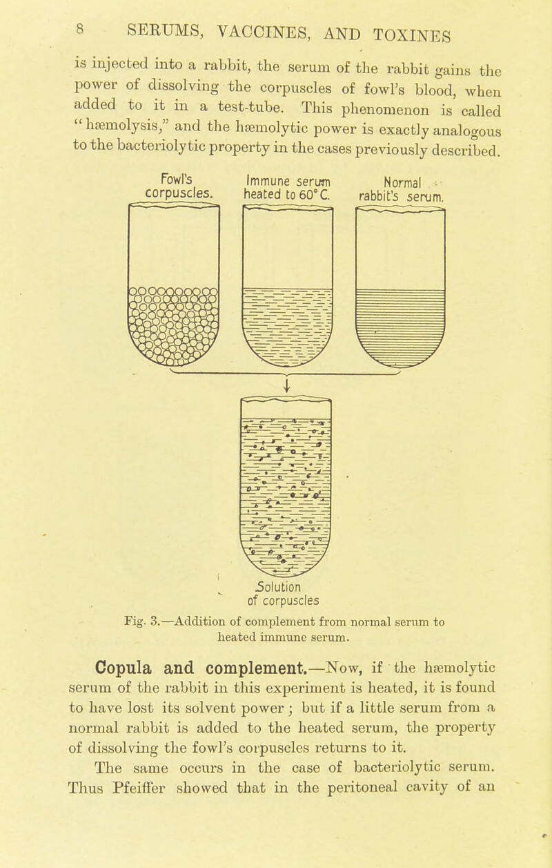 is injected into a rabbit, the serum of the rabbit gains the power of dissolving the corpuscles of fowl's blood, when added to it in a test-tube. This phenomenon is called  hemolysis, and the hsemolytic power is exactly analogous to the bacteriolytic property in the cases previously described. Fowl's Immune serum Normal corpuscles. heated to 60°C. rabbit's serum. .Solution of corpuscles Fig. 3.—Addition of complement from normal serum to heated immune serum. Copula and complement.—Now, if the hemolytic serum of the rabbit hi this experiment is heated, it is found to have lost its solvent power ; but if a little serum from a normal rabbit is added to the heated serum, the property of dissolving the fowl's corpuscles returns to it. The same occurs in the case of bacteriolytic serum. Thus Pfeiffer showed that in the peritoneal cavity of an