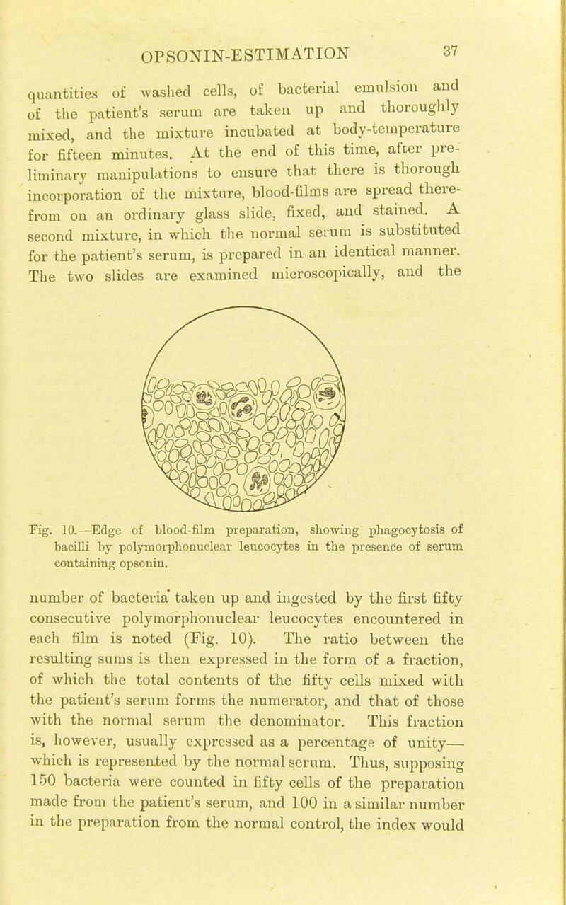 OPSONIN-ESTIMATION quantities of washed cells, of bacterial emulsion and of the patient's serum are taken up and thoroughly mixed, and the mixture incubated at body-temperature for fifteen minutes. At the end of this time, after pre- liminary manipulations to ensure that there is thorough incorporation of the mixture, blood-films are spread there- from on an ordinary glass slide, fixed, and stained. A second mixture, in which the normal serum is substituted for the patient's serum, is prepared in an identical manner. The two slides are examined microscopically, and the Fig. 10.—Edge of blood-film preparation, showing phagocytosis of bacilli by polymorphonuclear leucocytes in the presence of serum containing opsonin. number of bacteria' taken up and ingested by the first fifty consecutive polymorphonuclear leucocytes encountered in each film is noted (Fig. 10). The ratio between the resulting sums is then expressed in the form of a fraction, of which the total contents of the fifty cells mixed with the patient's serum forms the numerator, and that of those with the normal serum the denominator. This fraction is, however, usually expressed as a percentage of unity—■ which is represented by the normal serum. Thus, supposing 150 bacteria were counted in fifty cells of the preparation made from the patient's serum, and 100 in a similar number in the preparation from the normal control, the index would