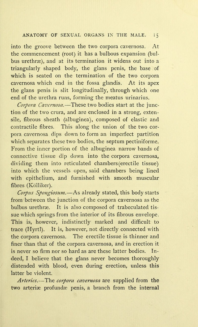 into the groove between the two corpora cavernosa. At the commencement (root) it has a bulbous expansion (bul- bus urethrae), and at its termination it widens out into a triangularly shaped body, the glans penis, the base of which is seated on the termination of the two corpora cavernosa which end in the fossa glandis. At its apex the glans penis is slit longitudinally, through which one end of the urethra runs, forming the meatus urinarius. Corpora Cavernosa.—These two bodies start at the junc- tion of the two crura, and are enclosed in a strong, exten- sile, fibrous sheath (albuginea), composed of elastic and contractile fibres. This along the union of the two cor- pora cavernosa dips down to form an imperfect partition which separates these two bodies, the septum pectiniforme. From the inner portion of the albuginea narrow bands of connective tissue dip down into the corpora cavernosa, dividing them into reticulated chambers (erectile tissue) into which the vessels open, said chambers being lined with epithelium, and furnished with smooth muscular fibres (Kolliker). Corptis Spongiosum.—As already stated, this body starts from’between the junction of the corpora cavernosa as the bulbus urethrae. It is also composed of trabeculated tis- sue which springs from the interior of its fibrous envelope. This is, however, indistinctly marked and difficult to trace (Hyrtl). It is, however, not directly connected with the corpora cavernosa. The erectile tissue is thinner and finer than that of the corpora cavernosa, and in erection it is never so firm nor so hard as are these latter bodies. In- deed, I believe that the glans never becomes thoroughly distended with blood, even during erection, unless this latter be violent. Arteries.—The corpora cavernosa are supplied from the two arteriae profundaa penis, a branch from the internal