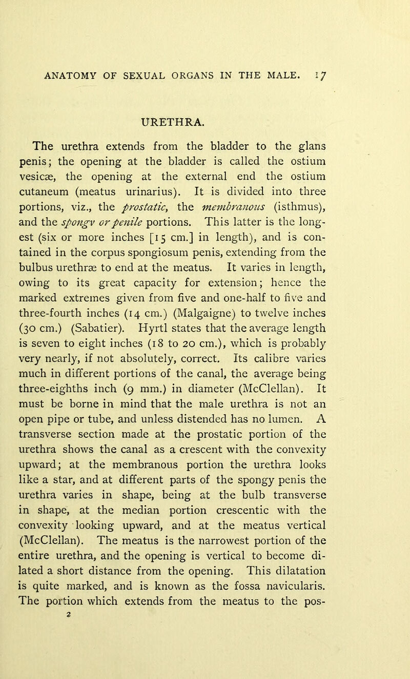 URETHRA. The urethra extends from the bladder to the glans penis; the opening at the bladder is called the ostium vesicae, the opening at the external end the ostium cutaneum (meatus urinarius). It is divided into three portions, viz., the prostatic, the membranous (isthmus), and the spongv or penile portions. This latter is the long- est (six or more inches [i 5 cm.] in length), and is con- tained in the corpus spongiosum penis, extending from the bulbus urethrae to end at the meatus. It varies in length, owing to its great capacity for extension; hence the marked extremes given from five and one-half to five and three-fourth inches (14 cm.) (Malgaigne) to twelve inches (30 cm.) (Sabatier). Hyrtl states that the average length is seven to eight inches (18 to 20 cm.), which is probably very nearly, if not absolutely, correct. Its calibre varies much in different portions of the canal, the average being three-eighths inch (9 mm.) in diameter (McClellan). It must be borne in mind that the male urethra is not an open pipe or tube, and unless distended has no lumen. A transverse section made at the prostatic portion of the urethra shows the canal as a crescent with the convexity upward; at the membranous portion the urethra looks like a star, and at different parts of the spongy penis the urethra varies in shape, being at the bulb transverse in shape, at the median portion crescentic with the convexity looking upward, and at the meatus vertical (McClellan). The meatus is the narrowest portion of the entire urethra, and the opening is vertical to become di- lated a short distance from the opening. This dilatation is quite marked, and is known as the fossa navicularis. The portion which extends from the meatus to the pos- 2