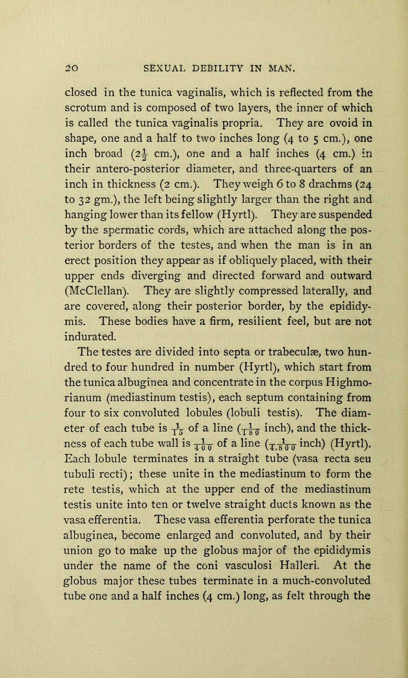 closed in the tunica vaginalis, which is reflected from the scrotum and is composed of two layers, the inner of which is called the tunica vaginalis propria. They are ovoid in shape, one and a half to two inches long (4 to 5 cm.), one inch broad (2^ cm.), one and a half inches (4 cm.) in their antero-posterior diameter, and three-quarters of an inch in thickness (2 cm.). They weigh 6 to 8 drachms (24 to 32 gm.), the left being slightly larger than the right and hanging lower than its fellow (Hyrtl). They are suspended by the spermatic cords, which are attached along the pos- terior borders of the testes, and when the man is in an erect position they appear as if obliquely placed, with their upper ends diverging and directed forward and outward (McClellan). They are slightly compressed laterally, and are covered, along their posterior border, by the epididy- mis. These bodies have a firm, resilient feel, but are not indurated. The testes are divided into septa or trabeculae, two hun- dred to four hundred in number (Hyrtl), which start from the tunica albuginea and concentrate in the corpus Highmo- rianum (mediastinum testis), each septum containing from four to six convoluted lobules (lobuli testis). The diam- eter of each tube is of a line (y|-g- inch), and the thick- ness of each tube wall is of a line ii^ch) (Hyrtl). Each lobule terminates in a straight tube (vasa recta seu tubuli recti); these unite in the mediastinum to form the rete testis, which at the upper end of the mediastinum testis unite into ten or twelve straight ducts known as the vasa efferentia. These vasa efferentia perforate the tunica albuginea, become enlarged and convoluted, and by their union go to make up the globus major of the epididymis under the name of the coni vasculosi Halleri. At the globus major these tubes terminate in a much-convoluted tube one and a half inches (4 cm.) long, as felt through the