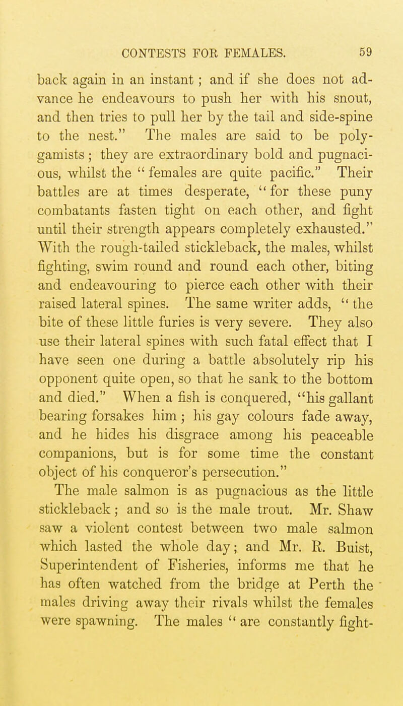 back again in an instant; and if she does not ad- vance he endeavours to push her with his snout, and then tries to pull her by the tail and side-spine to the nest. The males are said to be poly- gamists ; they are extraordinary bold and pugnaci- ous, whilst the  females are quite pacific. Their battles are at times desperate,  for these puny combatants fasten tight on each other, and fight until their strength appears completely exhausted. With the rough-tailed stickleback, the males, whilst fighting, swim round and round each other, biting and endeavouring to pierce each other with their raised lateral spines. The same writer adds,  the bite of these little furies is very severe. They also use their lateral spines with such fatal efiect that I have seen one during a battle absolutely rip his opponent quite opeu, so that he sank to the bottom and died. When a fish is conquered, his gallant bearing forsakes him; his gay colours fade away, and he hides his disgrace among his peaceable companions, but is for some time the constant object of his conqueror's persecution. The male salmon is as pugnacious as the little stickleback; and so is the male trout. Mr. Shaw saw a violent contest between two male salmon which lasted the whole day; and Mr. R. Buist, Superintendent of Fisheries, informs me that he has often watched from the bridge at Perth the ' males driving away their rivals whilst the females were spawning. The males  are constantly fight-