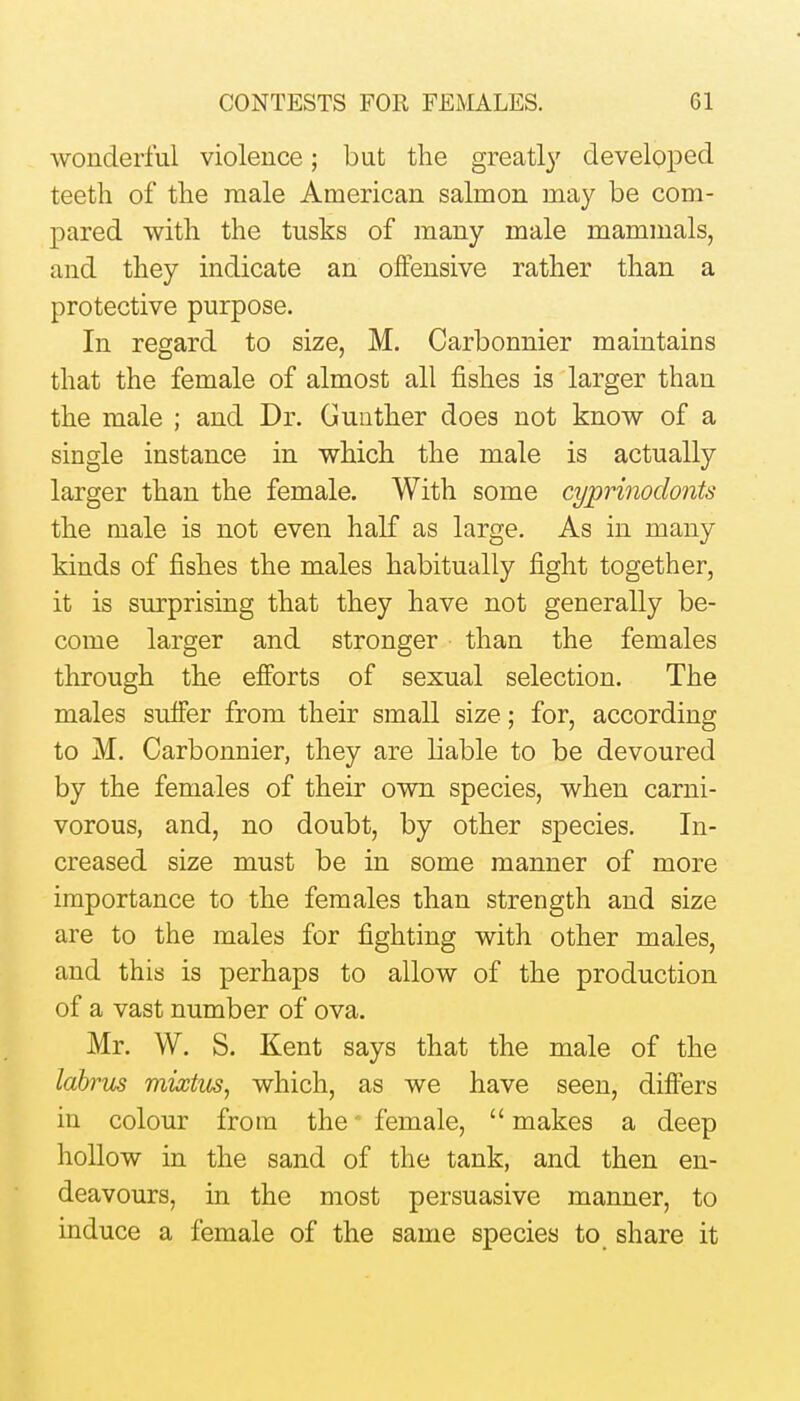 wonderful violence; but the greatly developed teeth of the male American salmon may be com- pared with the tusks of many male mammals, and they indicate an offensive rather than a protective purpose. In regard to size, M. Carbonnier maintains that the female of almost all fishes is larger than the male ; and Dr. Gunther does not know of a single instance in which the male is actually larger than the female. With some cyprinodonts the male is not even half as large. As in many kinds of fishes the males habitually fight together, it is surprising that they have not generally be- come larger and stronger than the females through the efforts of sexual selection. The males suffer from their small size; for, according to M. Carbonnier, they are liable to be devoured by the females of their own species, when carni- vorous, and, no doubt, by other species. In- creased size must be in some manner of more importance to the females than strength and size are to the males for fighting with other males, and this is perhaps to allow of the production of a vast number of ova. Mr. W. S. Kent says that the male of the labrm mirtus, which, as we have seen, differs in colour from the female,  makes a deep hollow in the sand of the tank, and then en- deavours, in the most persuasive manner, to induce a female of the same species to share it