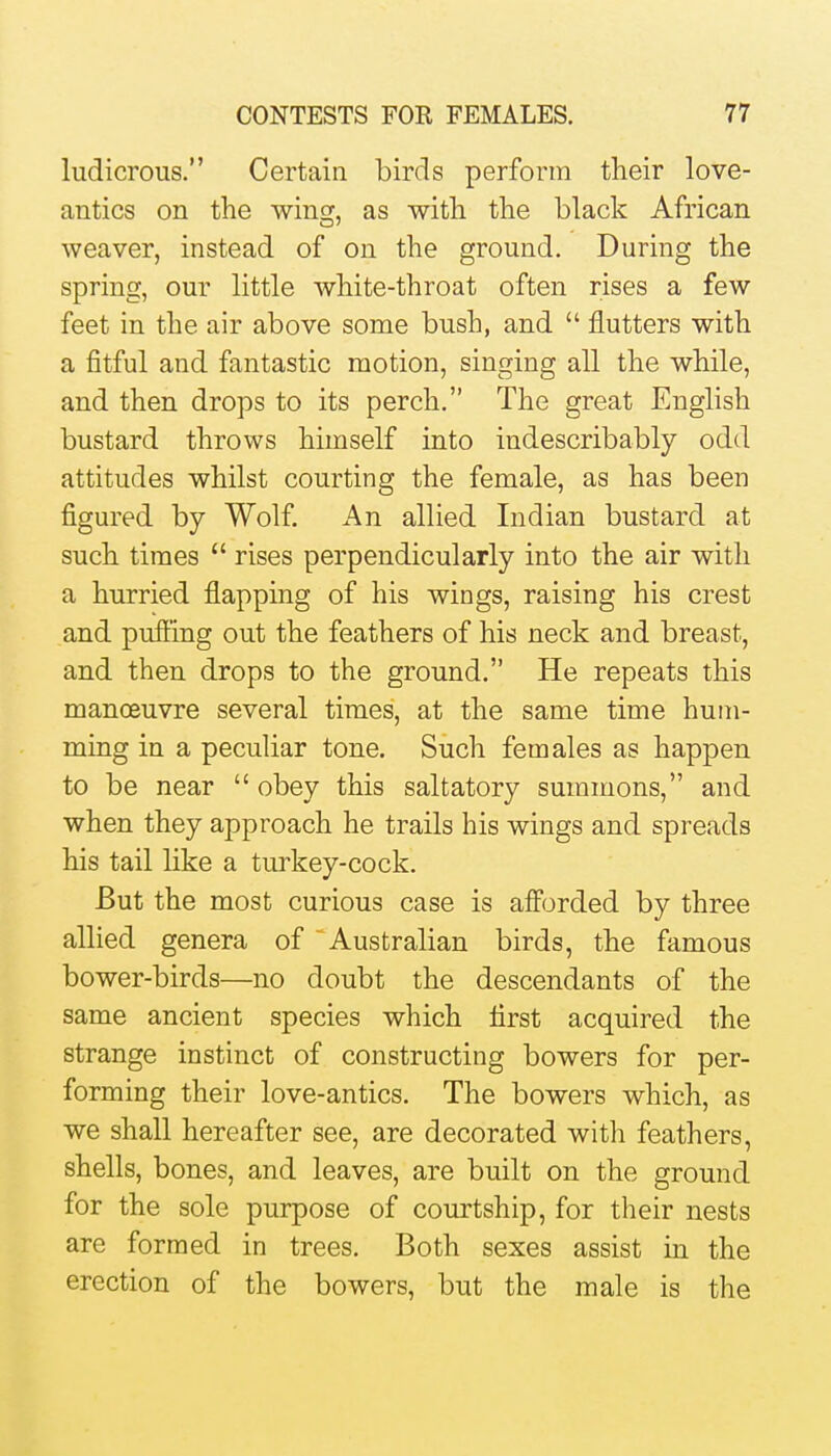 ludicrous. Certain birds perform their love- antics on the wing, as with the black African weaver, instead of on the ground. During the spring, our little white-throat often rises a few feet in the air above some bush, and  flutters with a fitful and fantastic motion, singing all the while, and then drops to its perch. The great English bustard throws himself into indescribably odd attitudes whilst courting the female, as has been figured by Wolf. An allied Indian bustard at such times  rises perpendicularly into the air with a hurried flapping of his wings, raising his crest and pufi'ing out the feathers of his neck and breast, and then drops to the ground. He repeats this manoeuvre several times, at the same time hum- ming in a peculiar tone. Such females as happen to be near  obey this saltatory summons, and when they approach he trails his wings and spreads his tail like a turkey-cock. But the most curious case is aff'orded by three allied genera of Australian birds, the famous bower-birds—no doubt the descendants of the same ancient species which first acquired the strange instinct of constructing bowers for per- forming their love-antics. The bowers which, as we shall hereafter see, are decorated with feathers, shells, bones, and leaves, are built on the ground for the sole purpose of courtship, for their nests are formed in trees. Both sexes assist in the erection of the bowers, but the male is the