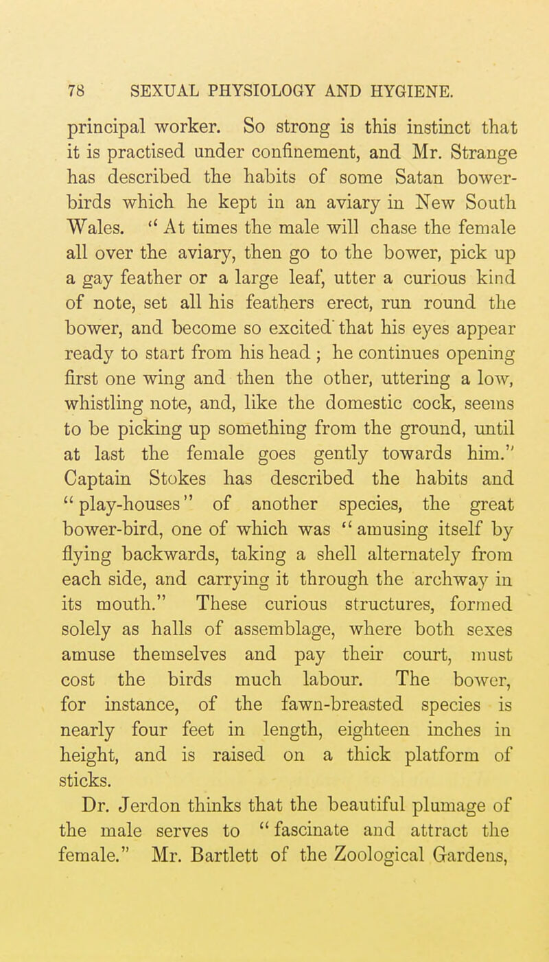 principal worker. So strong is this instinct that it is practised under confinement, and Mr. Strange has described the habits of some Satan bower- birds which he kept in an aviary in New South Wales.  At times the male will chase the female all over the aviary, then go to the bower, pick up a gay feather or a large leaf, utter a curious kind of note, set all his feathers erect, run round the bower, and become so excited' that his eyes appear ready to start from his head ; he continues opening first one wing and then the other, uttering a low, whistling note, and, like the domestic cock, seems to be picking up something from the ground, until at last the female goes gently towards him. Captain Stokes has described the habits and play-houses of another species, the great bower-bird, one of which was  amusing itself by flying backwards, taking a shell alternately from each side, and carrying it through the archway in its mouth. These curious structures, formed solely as halls of assemblage, where both sexes amuse themselves and pay their court, must cost the birds much labour. The bower, for instance, of the fawn-breasted species is nearly four feet in length, eighteen inches in height, and is raised on a thick platform of sticks. Dr. Jerdon thinks that the beautiful plumage of the male serves to  fascinate and attract the female. Mr. Bartlett of the Zoological Gardens,