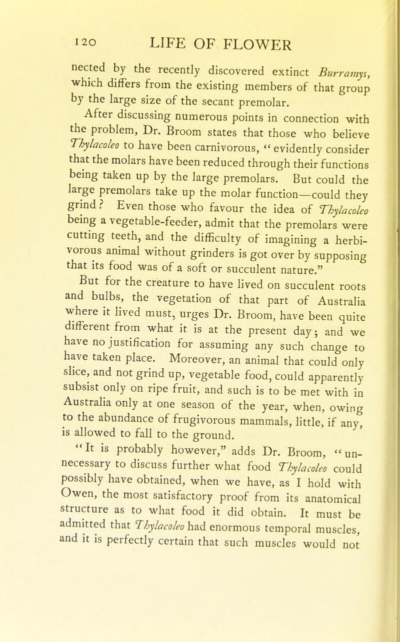 nected by the recently discovered extinct Burramys, which differs from the existing members of that group by the large size of the secant premolar. After discussing numerous points in connection with the problem, Dr. Broom states that those who believe Thylacoleo to have been carnivorous,  evidently consider that the molars have been reduced through their functions being taken up by the large premolars. But could the large premolars take up the molar function—could they grind.? Even those who favour the idea of Thylacoleo being a vegetable-feeder, admit that the premolars were cutting teeth, and the difficulty of imagining a herbi- vorous animal without grinders is got over by supposing that its food was of a soft or succulent nature. But for the creature to have lived on succulent roots and bulbs, the vegetation of that part of Australia where it lived must, urges Dr. Broom, have been quite different from what it is at the present day; and we have no justification for assuming any such change to have taken place. Moreover, an animal that could only slice, and not grind up, vegetable food, could apparently subsist only on ripe fruit, and such is to be met with in Australia only at one season of the year, when, owing to the abundance of frugivorous mammals, little, if any, is allowed to fall to the ground. It is probably however, adds Dr. Broom, un- necessary to discuss further what food Thylacoleo could possibly have obtained, when we have, as I hold with Owen, the most satisfactory proof from its anatomical structure as to what food it did obtain. It must be admitted that Thylacoleo had enormous temporal muscles, and it is perfectly certain that such muscles would not