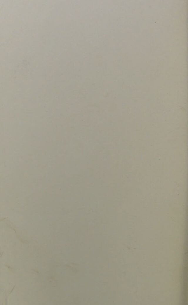 digitised image 2