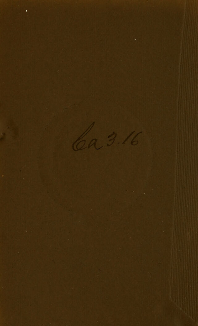 digitised image 2