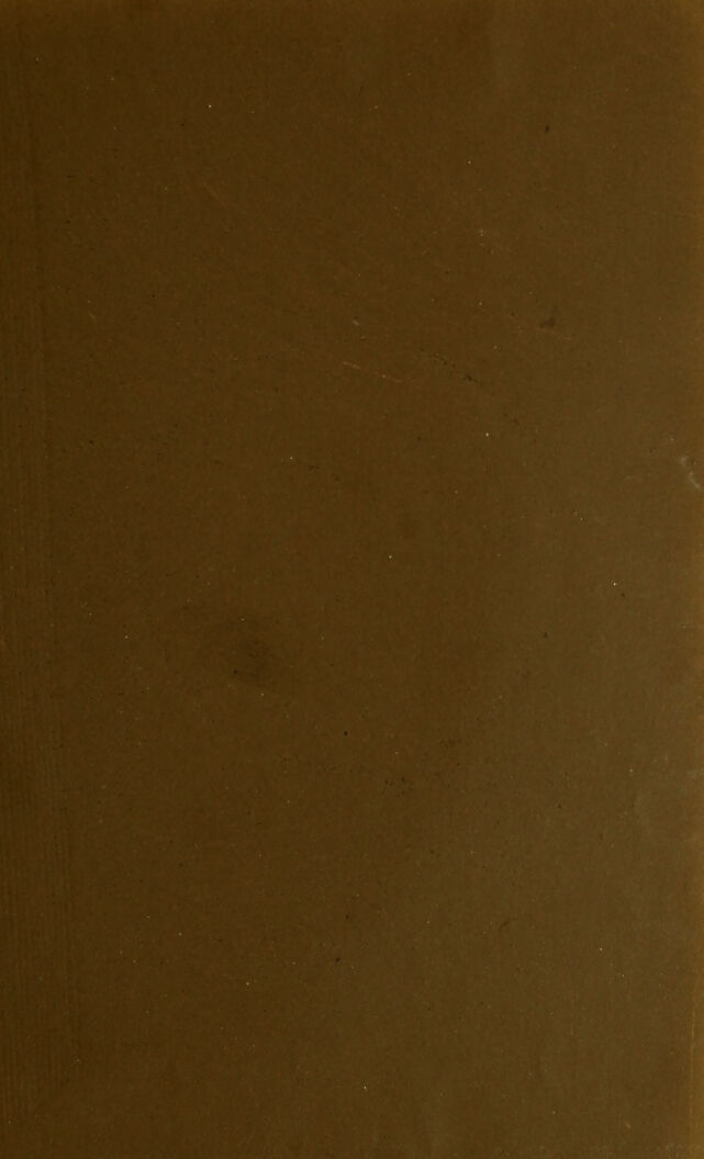 digitised image 3