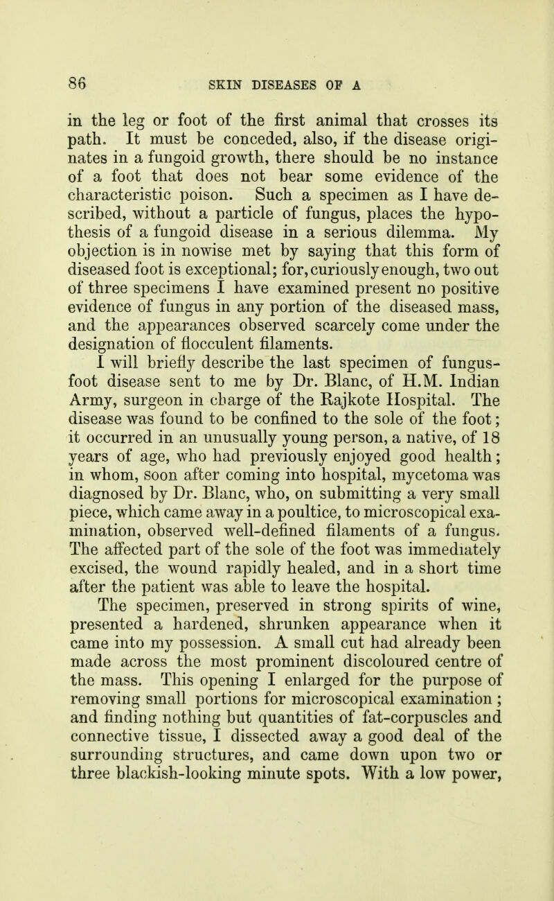 in the leg or foot of the first animal that crosses its path. It must be conceded, also, if the disease origi- nates in a fungoid growth, there should be no instance of a foot that does not bear some evidence of the characteristic poison. Such a specimen as I have de- scribed, without a particle of fungus, places the hypo- thesis of a fungoid disease in a serious dilemma. My objection is in nowise met by saying that this form of diseased foot is exceptional; for, curiously enough, two out of three specimens I have examined present no positive evidence of fungus in any portion of the diseased mass, and the appearances observed scarcely come under the designation of fiocculent filaments. 1 will briefly describe the last specimen of fungus- foot disease sent to me by Dr. Blanc, of H.M. Indian Army, surgeon in charge of the Rajkote Hospital. The disease was found to be confined to the sole of the foot; it occurred in an unusually young person, a native, of 18 years of age, who had previously enjoyed good health; in whom, soon after coming into hospital, mycetoma was diagnosed by Dr. Blanc, who, on submitting a very small piece, which came away in a poultice, to microscopical exa- mination, observed well-defined filaments of a fungus. The affected part of the sole of the foot was immediately excised, the wound rapidly healed, and in a short time after the patient was able to leave the hospital. The specimen, preserved in strong spirits of wine, presented a hardened, shrunken appearance when it came into my possession. A small cut had already been made across the most prominent discoloured centre of the mass. This opening I enlarged for the purpose of removing small portions for microscopical examination ; and finding nothing but quantities of fat-corpuscles and connective tissue, I dissected away a good deal of the surrounding structures, and came down upon two or three blackish-looking minute spots. With a low power,