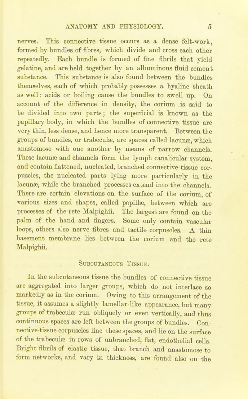 nerves. This connective tissue occurs as a dense felt-work, formed by bundles of fibres, which divide and cross each other repeatedly. Each bundle is formed of fine fibrils that yield gelatine, and are held together by an albuminous fluid cement substance. This substance is also found between the bundles themselves, each of which probably possesses a hyaline sheath as well: acids or boiling cause the bundles to swell up. On account of the difference in density, the corium is said to be divided into two parts; the supei'ficial is known as the papillary body, in which the bundles of connective tissue are very thin, less dense, and hence more transparent. Between the gi-oups of bundles, or trabeculse, are spaces called lacunse, which anastomose with one another by means of narrow channels. These lacunse and channels form the lymph canalicular system, and contain flattened, nucleated, branched connective-tissue cor- piiscles, the nucleated parts lying more particularly in the lacunee, while the branched processes extend into the channels. There are certain elevations on the surface of the corium, of various sizes and shapes, called papillae, between which are processes of the rete Malpighii. The largest are found on the palm of the hand and fingers. Some only contain vascular loops, others also nerve fibres and tactile corpuscles. A thin basement membrane lies between the corium and the rete Malpighii. Subcutaneous Tissue. In the subcutaneous tissue the bundles of connective tissue are aggregated into larger groups, which do not interlace so markedly as in the corium. Owing to this arrangement of the tissue, it assumes a slightly lamellar-Uke appearance, but many groups of trabeculae run obliquely or even vertically, and thus continuous spaces are left between the gi-oups of bundles. Con- nective-tissue corpuscles line these spaces, and lie on the surface of the trabeculse in rows of unbranched, flat, endothelial cells. Bright fibrils of elastic tissue, that branch and anastomose to form networks, and vary in thickness, are found also on the