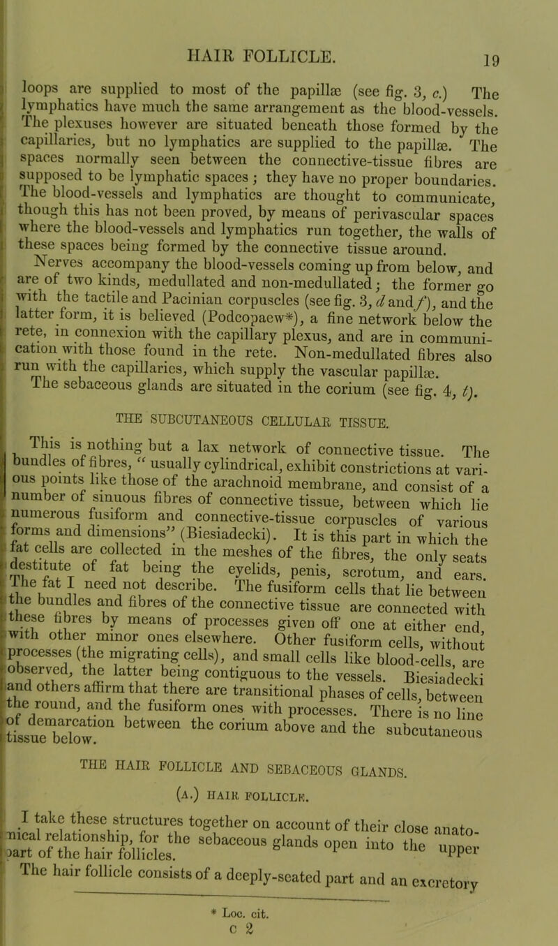 loops are supplied to most of the papillm (see fig. 3, c.) The lymphatics have much the same arrangement as the blood-vessels. The plexuses however are situated beneath those formed by the capillaries, but no lymphatics are supplied to the papilla. The spaces normally seen between the connective-tissue fibres are supposed to be lymphatic spaces ; they have no proper boundaries. The blood-vessels and lymphatics are thought to communicate though this has not been proved, by means of perivascular spaces where the blood-vessels and lymphatics run together, the walls of these spaces being formed by the connective tissue around. Nerves accompany the blood-vessels coming up from below, and are of two kinds, medullated and non-medullated; the former go with the tactile and Pacinian corpuscles (see fig. 3, dand/’), and the latter form, it is believed (Podcopaew*), a fine network below the rete, in connexion with the capillary plexus, and are in communi- cation with those found in the rete. Non-medullated fibres also 1 rUm,wlt 1 ^ e capiUaries, which supply the vascular papilla. Hie sebaceous glands are situated in the corium (see fig. 4, t). THE SUBCUTANEOUS CELLULAR TISSUE. This is nothing but a lax network of connective tissue. The | bundles of fibres, “ usually cylindrical, exhibit constrictions at vari- i OUS points like those of the a.rap.hnm'r] • j THE HAIR FOLLICLE AND SEBACEOUS GLANDS. (a.) hair folliclk. I take these structures together on account of their close T? the sebaceous glands open into the I lart of the hair follicles. The hair follicle consists of a deeply-seated part and an ex. an excretory anato- upper * Loc. cit. C 2