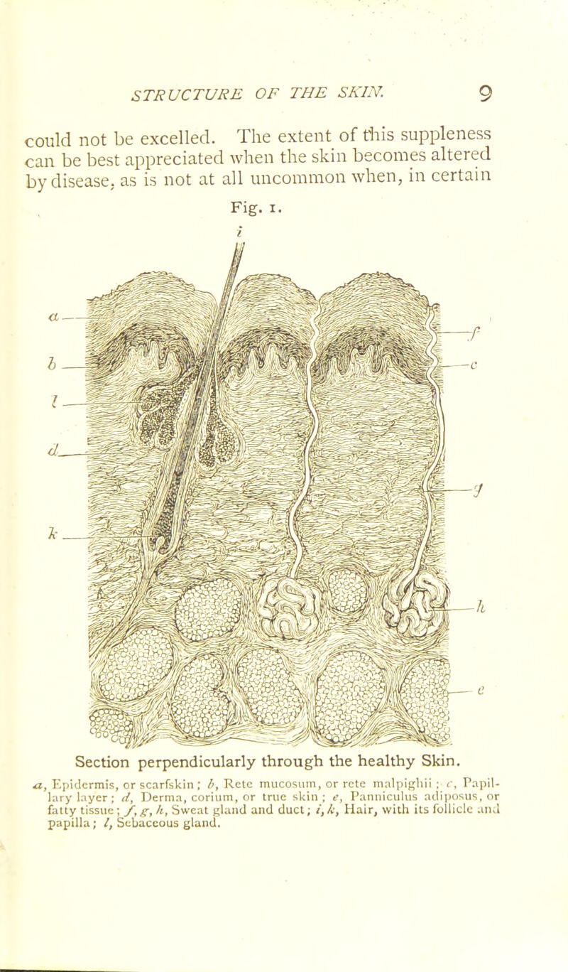 could not be excelled. The extent of this suppleness can be best appreciated when the skin becomes altered by disease, as is not at all uncommon when, in certain Fig. i. i Section perpendicularly through the healthy Skin. a, Epidermis, or scarfskin ; 6, Retc mucosum, or rcte malpighii ; < , Papil- lary layer; d, Derma, corium, or true skin; t', Panniculus adiposus, or fatty tissue; f,g, It, Sweat gland and duct; i,k, Hair, with its follicle and papilla; /, Sebaceous gland.