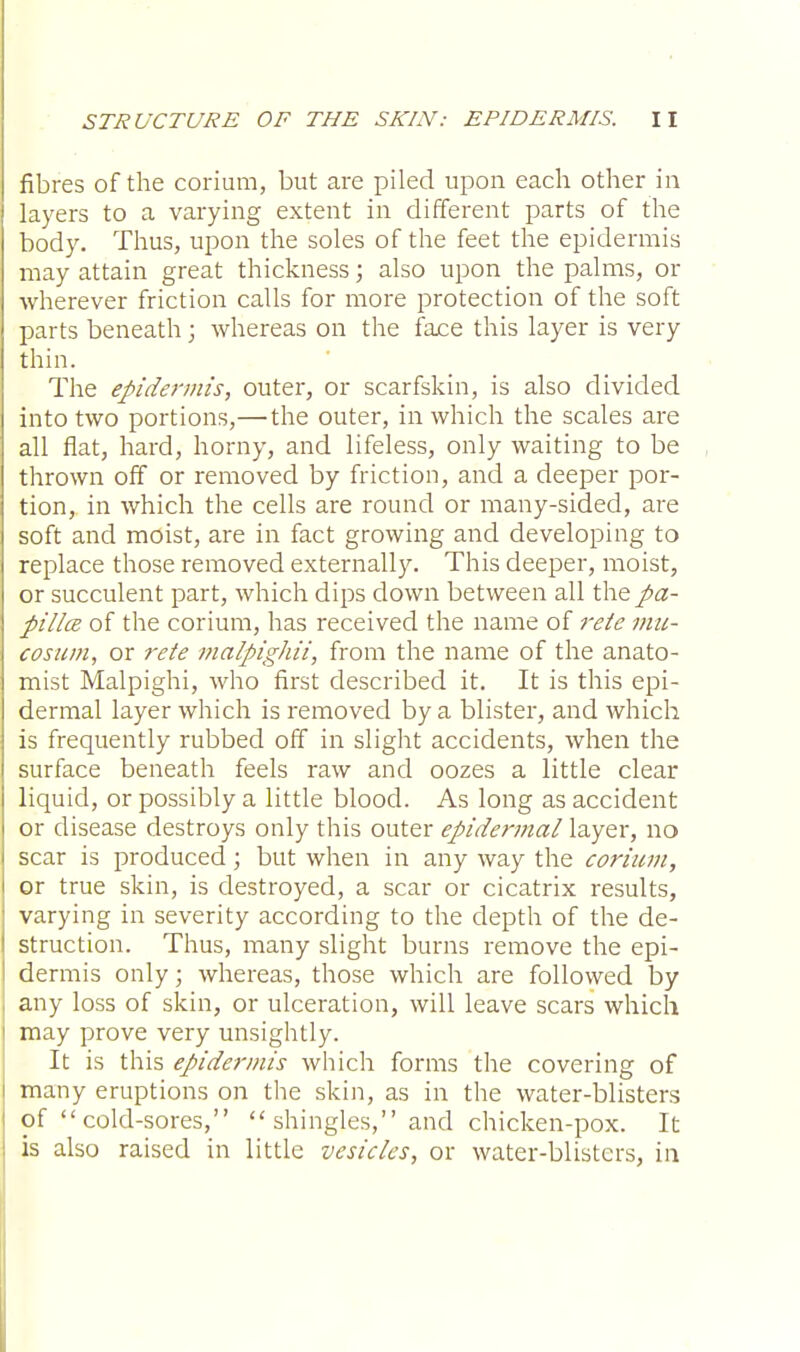 fibres of the corium, but are piled upon each other in layers to a varying extent in different parts of the body. Thus, upon the soles of the feet the epidermis may attain great thickness; also upon the palms, or wherever friction calls for more protection of the soft parts beneath; whereas on the face this layer is very thin. The epidermis, outer, or scarfskin, is also divided into two portions,—the outer, in which the scales are all flat, hard, horny, and lifeless, only waiting to be thrown off or removed by friction, and a deeper por- tion, in which the cells are round or many-sided, are soft and moist, are in fact growing and developing to replace those removed externally. This deeper, moist, or succulent part, which dips down between all the pa- pilla of the corium, has received the name of reie vm- cosum, or rete malpighii, from the name of the anato- mist Malpighi, who first described it. It is this epi- dermal layer which is removed by a blister, and which is frequently rubbed off in slight accidents, when the surface beneath feels raw and oozes a little clear liquid, or possibly a little blood. As long as accident or disease destroys only this outer epidermal layer, no scar is produced; but when in any way the corium, or true skin, is destroyed, a scar or cicatrix results, varying in severity according to the depth of the de- struction. Thus, many slight burns remove the epi- dermis only; whereas, those which are followed by any loss of skin, or ulceration, will leave scars which may prove very unsightly. It is this epidermis which forms the covering of many eruptions on the skin, as in the water-blisters of cold-sores,  shingles, and chicken-pox. It is also raised in little vesicles, or water-blisters, in