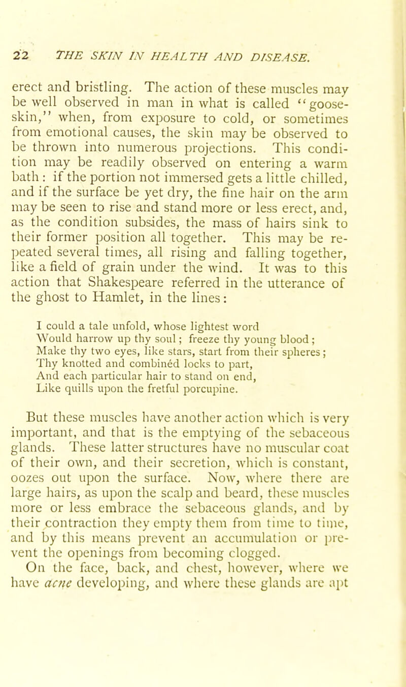 erect and bristling. The action of these muscles may- be well observed in man in what is called goose- skin, when, from exposure to cold, or sometimes from emotional causes, the skin may be observed to be thrown into numerous projections. This condi- tion may be readily observed on entering a warm bath : if the portion not immersed gets a little chilled, and if the surface be yet dry, the fine hair on the arm may be seen to rise and stand more or less erect, and, as the condition subsides, the mass of hairs sink to their former position all together. This may be re- peated several times, all rising and falling together, like a field of grain under the wind. It was to this action that Shakespeare referred in the utterance of the ghost to Hamlet, in the lines: I could a tale unfold, whose lightest word Would harrow up thy soul; freeze thy young blood; Make thy two eyes, like stars, start from their spheres; Thy knotted and combined locks to part, And each particular hair to stand on end, Like quills upon the fretful porcupine. But these muscles have another action which is very important, and that is the emptying of the sebaceous glands. These latter structures have no muscular coat of their own, and their secretion, which is constant, oozes out upon the surface. Now, where there are large hairs, as upon the scalp and beard, these muscles more or less embrace the sebaceous glands, and by their contraction they empty them from time to time, and by this means prevent an accumulation or pre- vent the openings from becoming clogged. On the face, back, and chest, however, where we have acne developing, and where these glands are apt