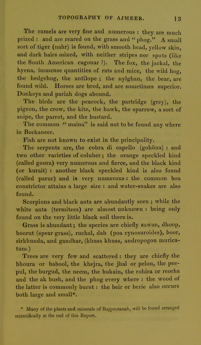 The camels are very fine and numerous : they are much prized : and are reared on the grass and phog/’ A small sort of tiger (nahr) is found, with smooth head, yellow skin, and dark hairs mixed, with neither stripes nor spots (like the South American cagonar ?). The fox, the jackal, the hyena, immense quantities of rats and mice, the wild hog, the hedgehog, the antilope ; the nylghau, the bear, are found wild. Horses are bred, and are sometimes superior. Donkeys and pariah dogs abound. The birds are the peacock, the partridge (grey), the pigeon, the crow, the kite, the hawk, the sparrow, a sort of snipe, the parrot, and the bustard. The common maina” is said not to be found any where in Beekaneer. Fish are not known to exist in the principality. The serpents are, the cobra di capello (gohuna) : and two other varieties of coluber; the orange speckled kind (called goora) very numerous and fierce, and the black kind (or kurait) : another black speckled kind is also found (called parur) and is very numerous : the common boa constrictor attains a large size : and water-snakes are also found. Scorpions and black ants are abundantly seen ; while the white ants (termitees) are almost unknown : being only found on the very little black soil there is. Grass is abundant; the species are chiefly sawan, dhoop, boorut (spear grass), ruchal, dab (poa cynosuroides), boor, sirkhunda, and gandhar, (khuss khuss, andropogon murica- tuni.) Trees are very few and scattered : they are chiefly the bhoura or babool, the khejra, the jhal or pelon, the pee- pul, the burgud, the neem, the bukain, the rohira or reorha and the ak bush, and the phog every where : the wood of the latter is commonly burnt ; the beir or berie also occurs both large and small*. * Many of the plants and minerals of Rajpootanah, will be found arranged scientifically at the end of this Report.