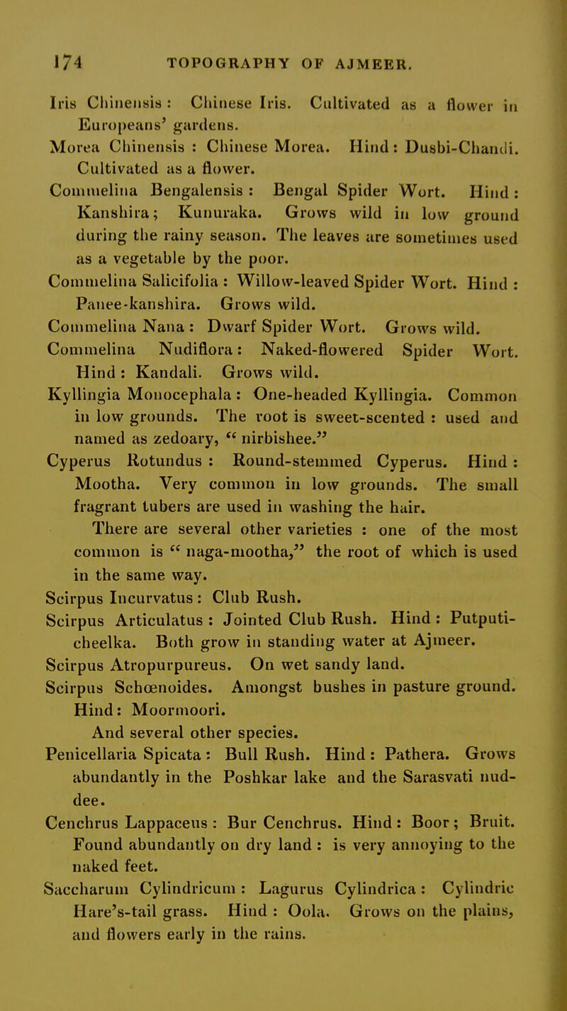 Iris Cliiiiensis : Chinese Iris. Cultivated as a flower in Europeans’ gardens. Morea Chinensis : Chinese Morea. Hind: Dusbi-Chaiuli. Cultivated as a flower. Coninielina Bengalensis : Bengal Spider Wort. Hind : Kanshira; Kunuraka. Grows wild in low ground during the rainy season. The leaves are sometimes used as a vegetable by the poor. Commelina Salicifolia : Willow-leaved Spider Wort. Hind : Panee-kanshira. Grows wild. Commelina Nana : Dwarf Spider Wort. Grows wild. Commelina Nudiflora: Naked-flowered Spider Wort. Hind : Kandali. Grows wild. Kyllingia Monocephala : One-headed Kyllingia. Common in low grounds. The root is sweet-scented : used and named as zedoary, nirbishee.” Cyperus Rotundus : Round-stemmed Cyperus. Hind : Mootha. Very common in low grounds. The small fragrant tubers are used in washing the hair. There are several other varieties : one of the most common is naga-mootha,” the root of which is used in the same way. Scirpus Incurvatus : Club Rush. Scirpus Articulatus : Jointed Club Rush. Hind : Putputi- cheelka. Both grow in standing water at Ajmeer. Scirpus Atropurpureus. On wet sandy land. Scirpus Schoenoides. Amongst bushes in pasture ground. Hind: Moormoori. And several other species. Penicellaria Spicata ; Bull Rush. Hind : Pathera. Grows abundantly in the Poshkar lake and the Sarasvati nud- dee. Cenchrus Lappaceus : Bur Cenchrus. Hind : Boor; Bruit. Found abundantly on dry land : is very annoying to the naked feet. Saccharum Cylindricum : Lagurus Cylindrica : Cylindric Hare’s-tail grass. Hind : Oola. Grows on the plains, and flowers early in the rains.