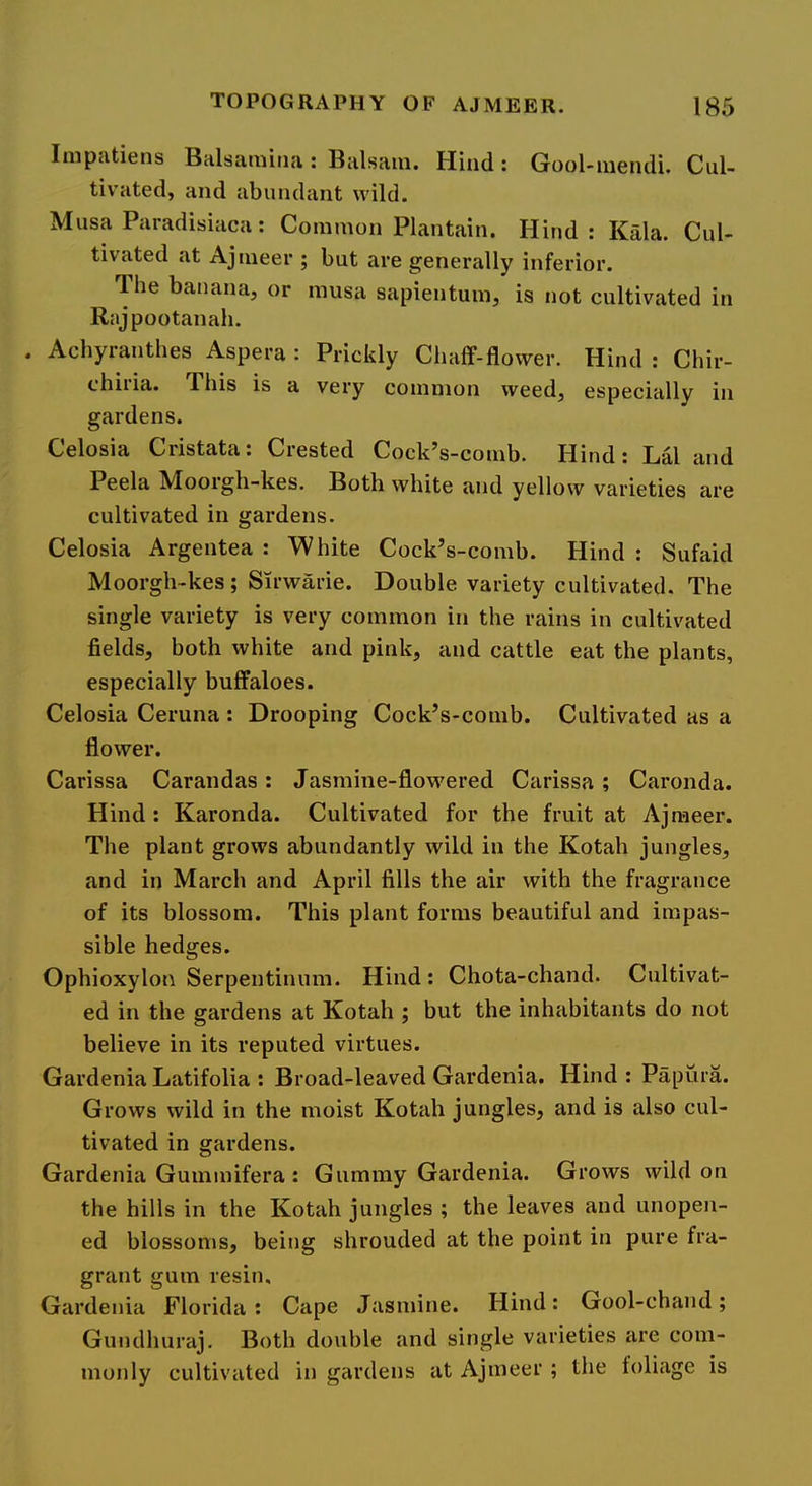 Impatiens Balsamiiia : Balsam. Hind: Gool-mendi. Cul- tivated, and abundant wild. Musa Paradisiaca: Common Plantain. Hind : Kala. Cul- tivated at Ajmeer ; but are generally inferior. The banana, or musa sapientum, is not cultivated in Rajpootanah. . Achyranthes Aspera : Prickly Chaff-flower. Hind : Chir- chiria. This is a very common weed, especially in gardens. Celosia Cristata: Crested Cock’s-comb. Hind: Lai and Peek Moorgh-kes. Both white and yellow varieties are cultivated in gardens. Celosia Argentea : White Cock’s-comb. Hind : Sufaid Moorgh-kes; Sirwarie. Double variety cultivated. The single variety is very common in the rains in cultivated fields, both white and pink, and cattle eat the plants, especially buffaloes. Celosia Ceruna : Drooping Cock’s-comb. Cultivated as a flower. Carissa Carandas: Jasmine-flowered Carissa; Caronda. Hind ; Karonda. Cultivated for the fruit at Ajmeer. The plant grows abundantly wild in the Kotah jungles, and in March and April fills the air with the fragrance of its blossom. This plant forms beautiful and impas- sible hedges. Ophioxylon Serpentinum. Hind: Chota-chand. Cultivat- ed in the gardens at Kotah ; but the inhabitants do not believe in its reputed virtues. Gardenia Latifolia : Broad-leaved Gardenia. Hind : Papura. Grows wild in the moist Kotah jungles, and is also cul- tivated in gardens. Gardenia Gummifera : Gummy Gardenia. Grows wild on the hills in the Kotah jungles ; the leaves and unopen- ed blossoms, being shrouded at the point in pure fra- grant gum resin. Gardenia Florida: Cape Jasmine. Hind: Gool-chand; Gundhuraj, Both double and single varieties are com- monly cultivated in gardens at Ajmeer ; the foliage is