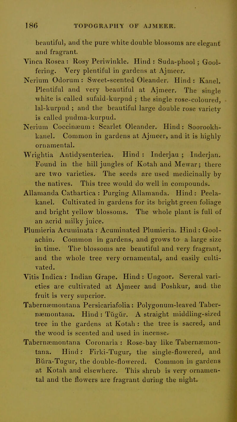 beautiful, and the pure white double blossoms are elegant and fragrant. Vinca Rosea : Rosy Periwinkle. Hind : Suda-phool; Gool- fering. Very plentiful in gardens at Ajmeer. Nerium Odoruni: Sweet-scented Oleander. Hind: Kanel. Plentiful and very beautiful at Ajmeer. The single white is called sufaid-kurpud ; the single rose-coloured, lal-kurpud ; and the beautiful large double rose variety is called pudma-kurpud. Nerium Coccinaeum : Scarlet Oleander. Hind: Soorookh- kanel. Common in gardens at Ajmeer, and it is highly ornamental. Wrightia Aiitidysenterica. Hind : Inderjau ; Inderjan. Found in the hill jungles of Kotah and Mewar; there are two varieties. The seeds are used medicinally by the natives. This tree would do well in compounds. Allamanda Cathartica : Purging Allamanda. Hind: Peela- kanel. Cultivated in gardens for its bright green foliage and bright yellow blossoms. The whole plant is full of an acrid milky juice. Plumieria Acuminata : Acuminated Plumieria. Hind: Gool- achin. Common in gardens, and grows to a large size in time. The blossoms are beautiful and very fragrant, and the whole tree very ornamental, and easily culti- vated. Vitis Indica: Indian Grape. Hind: Ungoor. Several vari- eties are cultivated at Ajmeer and Poshkur, and the fruit is very superior. Tabernsemontana Persicariafolia : Polygonum-leaved Taber- nsemontana. Hind : Tugur. A straight middling-sized tree in the gardens at Kotah : the tree is sacred, and the wood is scented and used in incense. Tabernsemontana Coronaria : Rose-bay like Tabernaemon- tana. Hind: Firki-Tugur, the single-flowered, and Bura-Tugur, the double-flowered. Common in gardens at Kotah and elsewhere. This shrub is very ornamen- tal and the flowers are fragrant during the night.