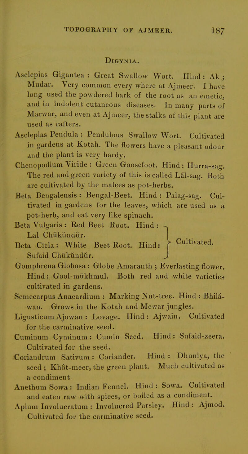 Digynia. Asclepias Gigantea : Great Swallow Wort. Hind : Ak ; Mudar. Very common every where at Ajmeer. I have long used the powdered bark of the root as an emetic, and in indolent cutaneous diseases. In many parts of Marwar, and even at Ajmeer, the stalks of this plant are used as rafters. Asclepias Pendula : Pendulous Swallow Wort. Cultivated in gardens at Hotah. Ihe flowers have a pleasant odour and the plant is very hardy. Chenopodium Viride : Green Goosefoot. Hind: Plurra-sag. The red and green variety of this is called Lal-sag. Both are cultivated by the malees as pot-herbs. Beta Bengaleiisis : Bengal-Beet. Hind : Palag-sag. Cul- tivated in gardens for the leaves, which are used as a pot-herb, and eat very like spinach. Beta Vulgaris : Red Beet Root. Hind: Lai Chukundur. Beta Cicla: White Beet Root. Hind: T Cuitivated. Sufaid Chukundur. J Gomphrena Globosa: Globe Amaranth ; Everlasting flower. Hind: Gool-mukhmul. Both red and white varieties cultivated in gardens. Semecarpus Anacardium : Marking Nut-tree. Hind : Bhila- wan. Grows in the Kotah and Mewar jungles. LigusticumAjowan : Lovage. Hind: Ajwain. Cultivated for the carminative seed. Cuminum Cyminum : Cumin Seed. Hind: Sufaid-zeera. Cultivated for the seed. Coriandrum Sativum : Coriander. Hind : Dhuniya, the seed ; Khot-meer, the green plant. Much cultivated as a condiment. Anethum Sowa : Indian Fennel. Hind : Sowa. Cultivated and eaten ravv with spices, or boiled as a condiment. Apium Involucratuin : Involucred Parsley. Hind : Ajmod, Cultivated for the carminative seed.