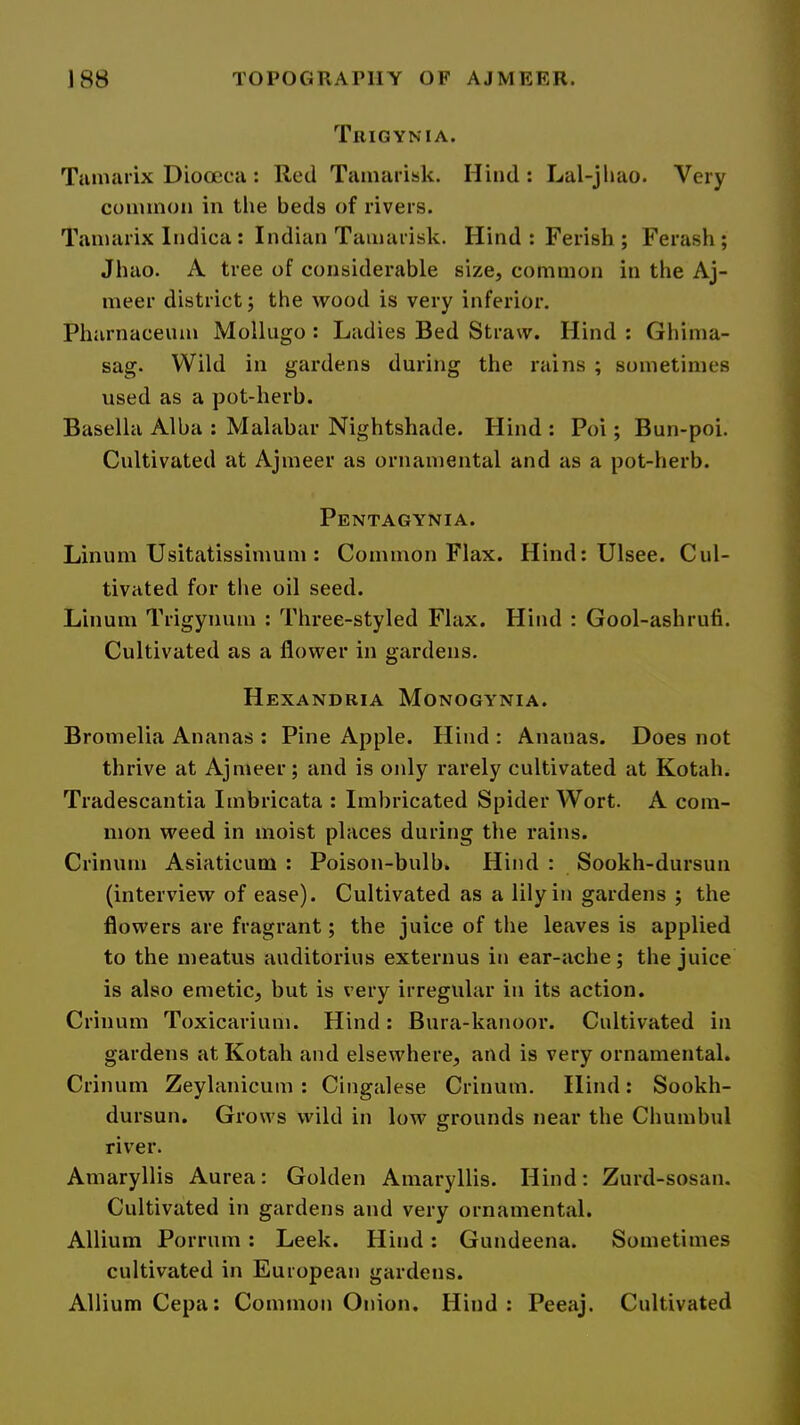 Trigynia. Tainaiix Dioocjca : Red Tamarisk. Hind : Lal-jliao. Very common in tlie beds of rivers. Tamarix Indica: Indian Tamarisk. Hind : Ferish ; Ferash ; Jhao. A tree of considerable size, common in the Aj- meer district j the wood is very inferior. Pharnaceum Molliigo : Ladies Bed Straw. Hind : Ghima- sag. Wild in gardens during the rains ; sometimes used as a pot-herb. Basella Alba : Malabar Nightshade. Hind : Poi; Bun-poi. Cultivated at Ajmeer as ornamental and as a pot-herb. Pentagynia. Linum Usitatissimum : Common Flax. Hind: Ulsee. Cul- tivated for the oil seed. Linum Trigynum : Three-styled Flax. Hind : Gool-ashrufi. Cultivated as a flower in gardens. Hexandria Monogynia. Bromelia Ananas ; Pine Apple. Hind : Ananas. Does not thrive at Ajmeer; and is only rarely cultivated at Kotah. Tradescantia Imbricata : Imbricated Spider Wort. A com- mon weed in moist places during the rains. Crinum Asiaticum : Poison-bulb. Hind : Sookh-dursun (interview of ease). Cultivated as a lily in gardens ; the flowers are fragrant; the juice of the leaves is applied to the meatus auditorius externus in ear-ache; the juice is also emetic, but is very irregular in its action. Crinum Toxicarium. Hind: Bura-kanoor. Cultivated in gardens at Kotah and elsewhere, and is very ornamental. Crinum Zeylanicuin : Cingalese Crinum. Hind: Sookh- dursun. Grows wild in low grounds near the Chumbul river. Amaryllis Aurea: Golden Amaryllis. Hind: Zurd-sosan. Cultivated in gardens and very ornamental. Allium Porrum : Leek. Hind: Gundeena. Sometimes cultivated in European gardens. Allium Cepa: Common Onion. Hind: Peeaj. Cultivated