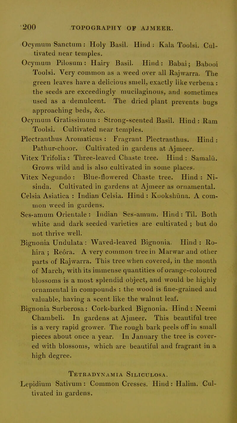 Ocymum Sanctum: Holy Basil. Hind : Kala Toolsi. Cul- tivated near temples. Ocymum Pilosum: Hairy Basil. Hind; Babai; Babooi Toolsi. Very common as a weed over all llajwarra. The green leaves have a delicious smell, exactly like verbena : the seeds are exceedingly mucilaginous, and sometimes used as a demulcent. The dried plant prevents bugs approaching beds, &c. Ocymum Gratissimum : Strong-scented Basil. Hind : Ram Toolsi. Cultivated near temples. Plectranthus Aromaticus : Fragrant Plectranthus. Hind: Pathur-choor. Cultivated in gardens at Ajmeer. Vitex Trifolia : Three-leaved Chaste tree. Hind : Samalu. Grows wild and is also cultivated in some places. Vitex Negundo : Blue-flowered Chaste tree. Hind : Ni- sinda. Cultivated in gardens at Ajmeer as ornamental. Celsia Asiatica ; Indian Celsia. Hind : Kookshuna. A com- mon weed in gardens. Ses-amum Orientale : Indian Ses-amum. Hind: Til. Both white and dark seeded varieties are cultivated ; but do not thrive well. Bignonia Undulata : Waved-leaved Bignonia. Hind ; Ro- hira ; Reora. A very common tree in Marwar and other parts of Rajwarra. This tree when covered, in the month of March, with its immense quantities of orange-coloured blossoms is a most splendid object, and would be highly ornamental in compounds : the wood is fine-grained and valuable, having a scent like the walnut leaf. Bignonia Surberosa: Cork-barked Bignonia. Hind : Neemi Chambeli. In gardens at Ajmeer. This beautiful tree is a very rapid grower. The rough bark peels off in small pieces about once a year. In January the tree is cover- ed with blossoms, which are beautiful and fragrant in a high degree. Tetradynamia Siliculosa. Lepidium Sativum : Common Cresses. Hind: Halim. Cul- tivated in gardens.