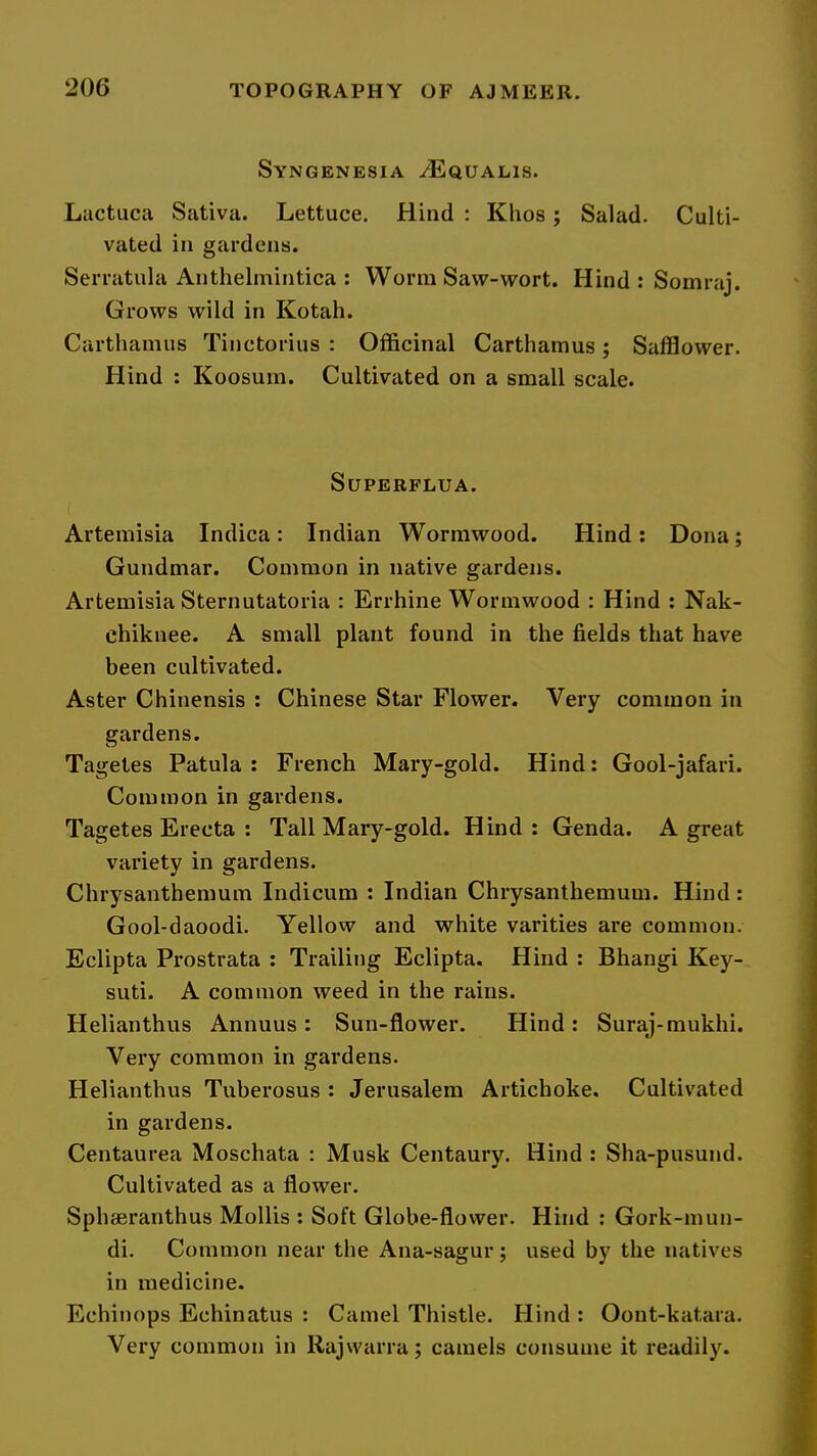 SyNGENESIA ^QUALIS. Lactuca Sativa. Lettuce, Hind : Khos; Salad. Culti- vated in gardens. Serratula Anthelmintica : Worm Saw-wort. Hind : Somraj. Grows wild in Kotah. Carthamus Tinctorius : Officinal Carthamus; Safflower. Hind : Koosum. Cultivated on a small scale. SUPERFLUA. Artemisia Indica: Indian Wormwood. Hind: Dona; Gundmar. Common in native gardens. Artemisia Sternutatoria ; Errhine Wormwood : Hind : Nak- chiknee. A small plant found in the fields that have been cultivated. Aster Chinensis ; Chinese Star Flower. Very common in gardens. Tagetes Patula : French Mary-gold. Hind: Gool-jafari. Common in gardens. Tagetes Erecta : Tall Mary-gold. Hind: Genda. A great variety in gardens. Chrysanthemum Indicum : Indian Chrysanthemum. Hind: Gool-daoodi, Yellow and white varities are common. Eclipta Prostrata : Trailing Eclipta. Hind : Bhangi Key- suti. A common weed in the rains. Helianthus Annuus : Sun-flower. Hind : Suraj-mukhi. Very common in gardens. Helianthus Tuberosus : Jerusalem Artichoke, Cultivated in gardens. Centaurea Moschata : Musk Centaury. Hind : Sha-pusund. Cultivated as a flower. Sphaeranthus Mollis : Soft Globe-flower. Hind : Gork-mun- di. Common near the Ana-sagur; used by the natives in medicine. Echinops Echinatus : Camel Thistle. Hind : Oont-katara. Very common in Rajwarra; camels consume it readily.