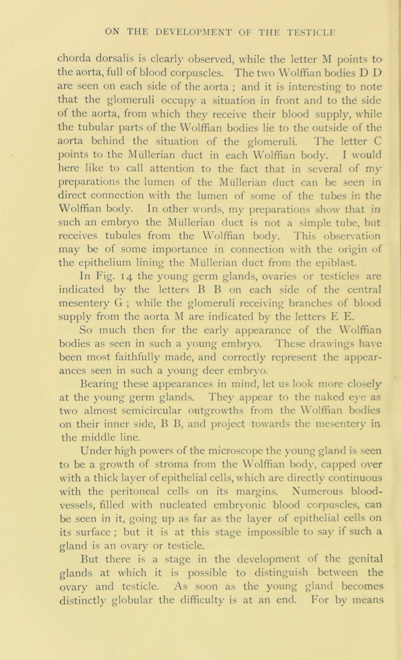 chorda dorsalis is clearly observed, while the letter M points to the aorta, full of blood corpuscles. The two Wolffian bodies D D are seen on each side of the aorta ; and it is interesting to note that the glomeruli occupy a situation in front and to the side of the aorta, from which they receive their blood supply, while the tubular parts of the Wolffian bodies lie to the outside of the aorta behind the situation of the glomeruli. The letter C j3oints to the Mullerian duct in each Wolffian body. I would here like to call attention to the fact that in several of my preparations the lumen of the Mullerian duct can be seen in direct connection with the lumen of some of the tubes in the Wolffian body. In other v'ords, m}' preparations show that in such an embryo the Mullerian duct is not a simple tube, but receives tubules from the Wolffian body. This observation may be of some importance in connection with the origin of the epithelium lining the Mullerian duct from the epiblast. In Fig. 14 the young germ glands, ovaries or testicles are indicated by the letters B B on each side of the central mesentery G ; while the glomeruli receiving branches of blood supply from the aorta M are indicated by the letters E E. So much then for the early appearance of the Wolffian bodies as seen in such a young embryo. These drawings have been most faithfully made, and correctly represent the appear- ances seen in such a young deer embr}’o. Bearing these appearances in mind, let us look more closely at the young germ glands. 7'he\ appear to the naked e\'C as two almost semicircular outgrowths from the Wolffian bodies on their inner side, B B, and project towards the mesentery in the middle line. Under high powers of the microscope the jmung gland is seen to be a growth of stroma from the Wolffian body, capped over with a thick layer of ejDithelial cells, which are directly continuous with the peritoneal cells on its margins. Numerous blood- vessels, filled with nucleated embr}’onic blood corpuscles, can be seen in it, going up as far as the la}'er of epithelial cells on its surface ; but it is at this stage impossible to say if such a gland is an ovar\- or testicle. But there is a stage in the development of the genital glands at which it is possible to distinguish between the ovary and testicle. As soon as the young gland becomes distinctly globular the difficulty is at an end. h'or by means