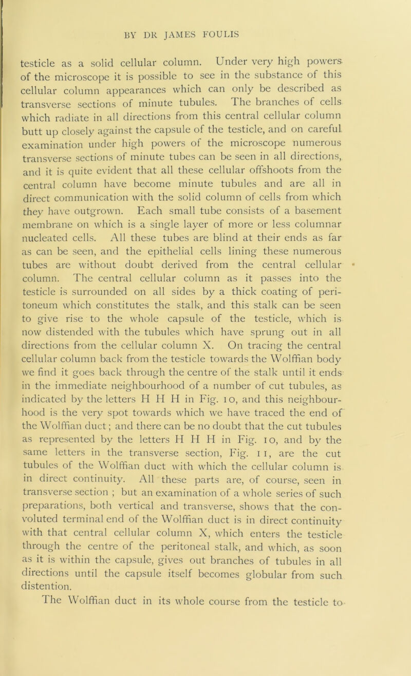 testicle as a solid cellular column. Under very h\<^h powers of the microscope it is possible to see in the substance of this cellular column appearances which can only be described as transverse sections of minute tubules. The branches of cells which radiate in all directions from this central cellular column butt up closely against the capsule of the testicle, and on careful examination under high powers of the microscope numerous transverse sections of minute tubes can be seen in all directions, and it is quite evident that all these cellular offshoots from the central column have become minute tubules and are all in direct communication with the solid column of cells from which they Iiave outgrown. Each small tube consists of a basement membrane on which is a single layer of more or less columnar nucleated cells. All these tubes are blind at their ends as far as can be seen, and the epithelial cells lining these numerous tubes are without doubt derived from the eentral eellular column. The central cellular column as it passes into the testicle is surrounded on all sides by a thick coating of peri- toneum which constitutes the stalk, and this stalk can be seen to give rise to the whole capsule of the testicle, which is now distended with the tubules which have sprung out in all directions from the cellular column X. On tracing the central cellular column back from the testicle towards the Wolffian body we find it goes back through the centre of the stalk until it ends in the immediate neighbourhood of a number of cut tubules, as indicated by the letters H H II in Fig. lo, and this neighbour- hood is the very spot towards which we have traced the end of the Wolffian duct; and there can be no doubt that the cut tubules as rcpre.sented by the letters H H U in P'ig. lo, and by the same letters in the transverse section, P'ig. ii, are the cut tubules of the Wolffian duct with which the cellular column is in direct continuity. All these parts are, of course, seen in transverse section ; but an examination of a whole series of such preparations, both vertical and transverse, shows that the con- voluted terminal end of the Wolffian duct is in direct continuity with that central cellular column X, which enters the testicle through the centre of the peritoneal stalk, and which, as soon as it is within the capsule, gives out branches of tubules in all directions until the capsule itself becomes globular from such distention. The Wolffian duct in its whole course from the testicle to