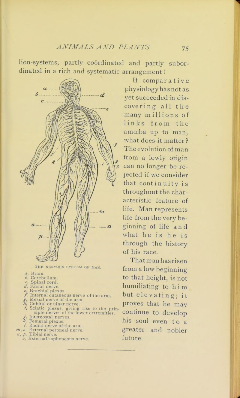 lion-systems, partly coordinated and partly subor- dinated in a rich and systematic arrangement ! If comparative physiology hasnot as yet succeeded in dis- cove ring all the many millions of links from the amoeba up to man, what does it matter ? The evolution of man from a lowly origin can no longer be re- jected if we consider that cont i n u i ty is throughout the char- acteristic feature of life. Man represents life from the very be- ginning of life and what he is he is through the history of his race. That man has risen from a low beginning to that height, is not humiliating to him but elevating; it proves that he may continue to develop his soul even t o a greater and nobler future. b, e, VI, o. A THE NERVOUS SYSTEM OV MAN. Brain. Cerebellum. Spinal cord. Facial nerve. Brachial plexus. Internal cutaneous nerve of the arm. Mesial nerve of the arm. Cubital or ulnar nerve. Sciatic plexus, giving rise to the prin- ciple nerves of the lower extremities. Intercostal nerves. Femural plexus. Radial nerve of the arm. External peroneal nerve. Tibial nerve. External sapheneous nerve.