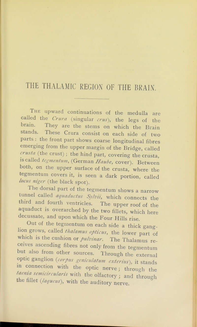 THE THALAMIC REGION OF THE BKAIN Thf. upward continuations of the medulla are called the Crura (singular crus), the legs of the brain. They are the stems on which the Brain stands. These Crura consist on each side of two parts : the front part shows coarse longitudinal fibres emerging from the upper margin of the Bridge, called crusia (the crust); the hind part, covering the crusta, is called tc\^r,fi^ntum, {German Ilaude, cover). Between both, on the upper surface of the crusta, where the tegmentum covers it, is seen a dark portion, called iocKs niger (the black spot). The dorsal part of the tegmentum shows a narrow tunnel called aquaductus Syhii, which connects the third and fourth ventricles. The upper roof of the aquaduct is overarched by the two fillets, which here decussate, and upon which the Four Hills rise. Out of the tegmentum on each side a thick gang- lion grows, called thalamus opticus, the lower part of which is the cushion ox pulvmar. The Thalamus re- ceives ascending fibres not only from the tegmentum but also from other sources. Through the external optic ganglion {corpus gcniculatum cxterius), it stands m connection with the optic nerve; through the taenia semicircularis with the olfactory ; and through the fillet {laqucus\ with the auditory nerve