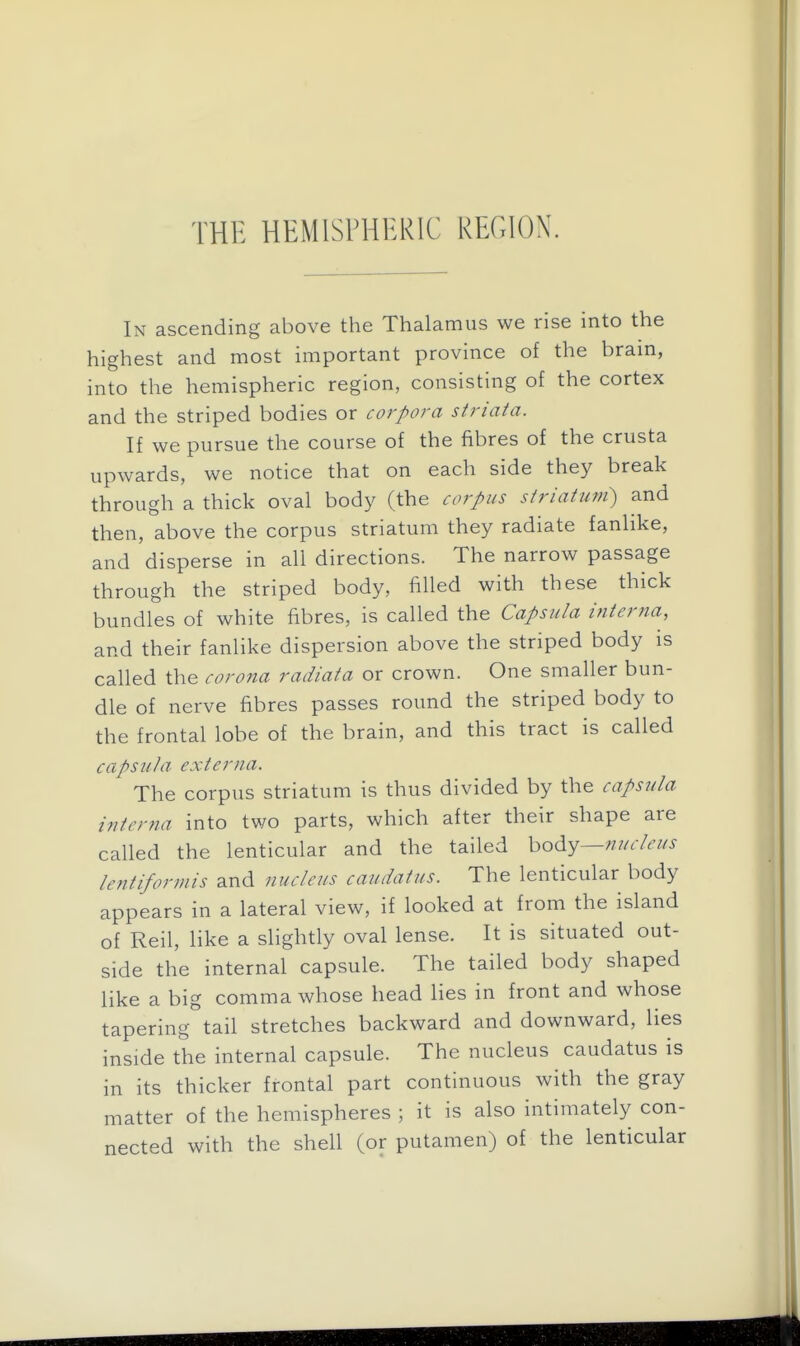 THE HEMISPHERIC REGION. In ascending above the Thalamus we rise into the highest and most important province of the bram, into the hemispheric region, consisting of the cortex and the striped bodies or corpora striata. If we pursue the course of the fibres of the crusta upwards, we notice that on each side they break through a thick oval body (the corpus striatum) and then, above the corpus striatum they radiate fanlike, and disperse in all directions. The narrow passage through the striped body, filled with these thick bundles of white fibres, is called the Capsula interna, and their fanlike dispersion above the striped body is called the corona radiata or crown. One smaller bun- dle of nerve fibres passes round the striped body to the frontal lobe of the brain, and this tract is called capsula externa. The corpus striatum is thus divided by the capsula interna into two parts, which after their shape are called the lenticular and the tailed body— lentiformis and nucleus caudatus. The lenticular body appears in a lateral view, if looked at from the island of Reil, like a slightly oval lense. It is situated out- side the internal capsule. The tailed body shaped like a big comma whose head lies in front and whose tapering tail stretches backward and downward, lies inside the internal capsule. The nucleus caudatus is in its thicker frontal part continuous with the gray matter of the hemispheres ; it is also intimately con- nected with the shell (or putamen) of the lenticular