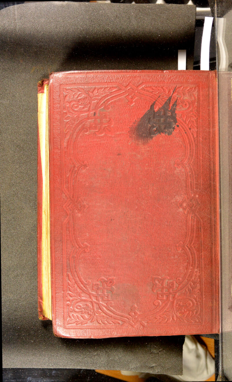 No text description is available for this image