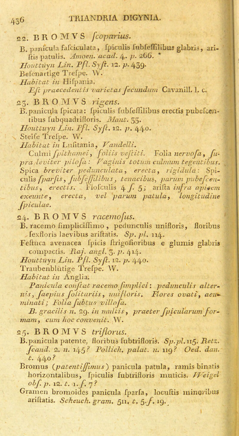 22. BROMVS fcoparius. B. panfcuki falciculata, fpiculia fubfe(Tilibus glabris, ari- ftis patulis. Jmoen. acad. fj. abO. Jlovbbujn Lin. PfL Syft. 12. p. 439. Bel'cnartige Trefpe. \V. Hahibab in Hifpania. LJl praecedeniis varicbas jecundmn Cavanill. 1. c. 25. BROMVS Vigens. B.panicpla fpicata: fpiculis fubreffilibus erectis pubefcea- tibus rubgaaclrifloris, Manb. 55. Ilonbbujn Lin. Pfl. Syfb. i2. p. lyiyo. Steife Trel'pe. W. JIahibab in Lufitania, Kandelli. C\\XvL\\ fpibhamei y foliis vcjlibi. Vo\ia nei'vofa ^ fu- pra iloviber pUoJa: Laginis bobnni culmum begenbihus. Spica bre'viber pcdnncidaba, erecbUj rigidula: Spi- ailis fparfis, jiibjejj'dihiis, benacibus., parum pnbej^cen- bihus y erecbis. Fiofculis arifta uifra api«cm exeunbe, erecba, vel 'parum pabulaj longibudine fpiculac. 24. BROMVS racemofus. B. raceino riinplicifiimo , pedunculis unifloris, iloribus ,-fexfloris laevibus ariftatis. Sp. pi. 114. Feftnca avenacea fpids ftrigofioribus e gluniis glabris compactis. Piaj. angl. 3. p. /| 14. Houbbnyn Lin. Pfl. Syft. 12. p. 440. Traubenbliitige Trefpe. W. Habibab in Anglia. Panicula conjtab racemo Jimplici: pedunculis alber- TVSy Jaepius folibariis y unifloris. Flores ovabij aeu^ minabi ; Folia fubbus villofa. B. gracilis n. 29. in mulbis y praeber fpicuVarum Jor- mam, cum hoc convenib. W. 25. BROMVS triflorus. B.panicula patentCj floribus fubtrifloris. Sp.pl.n^. Rebz. fcand. 2. n. i45-^ Pollich, palab. n. 119.? Oed. dan. b. 440.^ Bromus (^pabenbiffimus') panicula patula, ramis binatis horizontalibus, fpiculis fubtrifloris luuticis. PF’eigel ohf. p. 12. b. \.J. 7.? Gramen bromoides panicula fparfa, locuftis luinoriLuis ariftatis. Scheuch. gram, 511, b, ^.f, 19.^