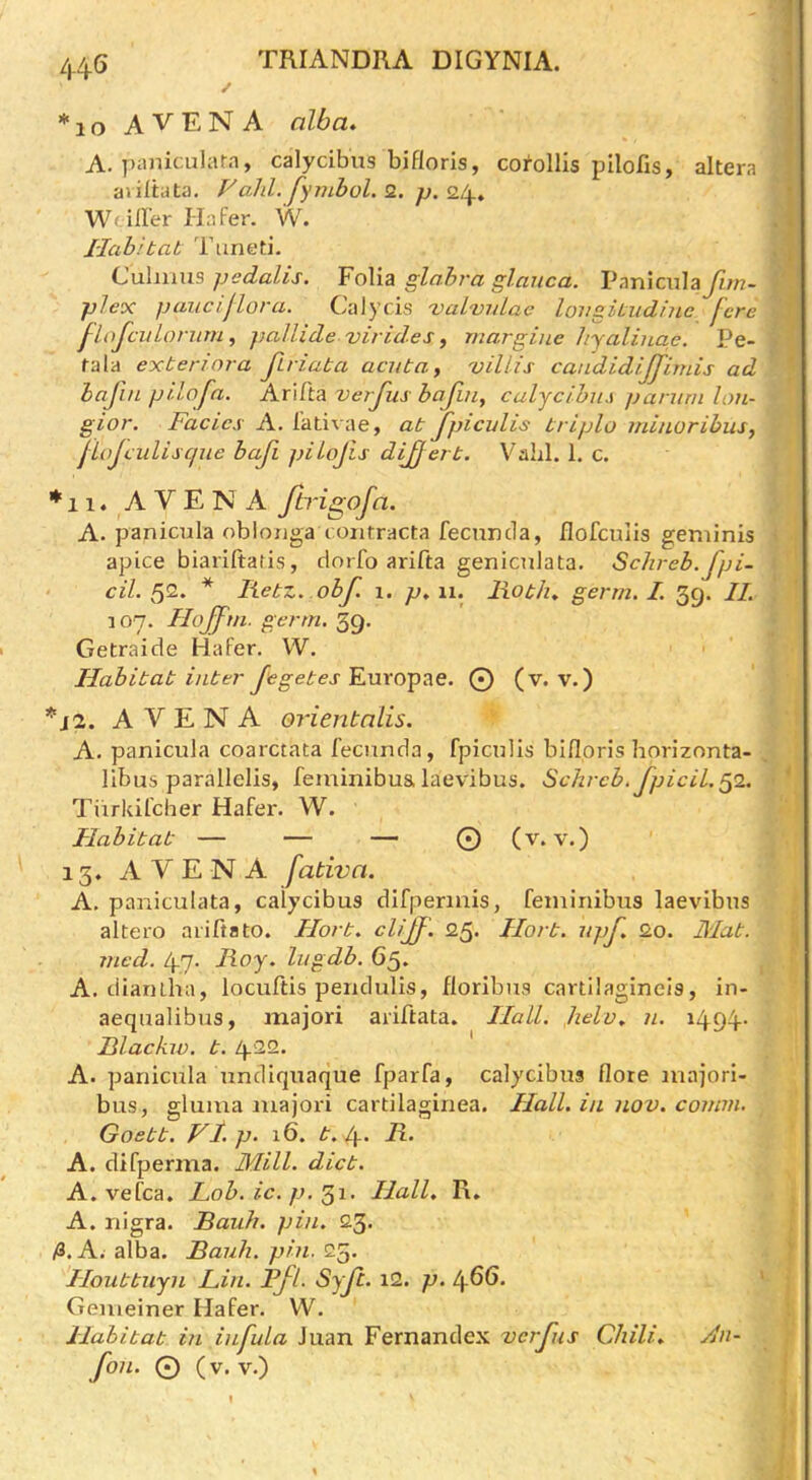 44G *10 AVENA alba* A. paniculara, calydbus bifloris, coi^ollis pilofis, altera aviltata. Falil.Jymbol. 2. p. 24. Wt iller Hafer. W. Ilab.'tat Tuneti. Cuhims pedalis. Folia glabra glauca. Paniciila fitn- plex paiicijlora. Calycis 'vaLvuLae longiLiidine fere fLoJeuLorum, paliide virides ^ niargine liyalinae. Pe- rala exberinra jiriaba acuba, villis candidijjimis ad bafin piLofa. Arill^ verfus bafuiy calycihus pariimlon- gior. Facies A. lativae, ab Jpicalis briplo ininoribiis^ fLajeulisque baji piLoJls dijjerb. Valil. 1. c. *!!♦ AVENA Jtrigofa. A. panicula oblonga coiitracta fecuncla, flofculis geminis apice biariftatis, dorfo arifta genicnlata. Schreb.fpi- cil. * Rebz. obf. p*\i. Robh, germ, I. 39. II. 107. Hojftn. germ. 59. Getraide Hafer. W. Habibab inber fegebes'E.uro'^^e. 0 (v. v.) AVENA oriejitalis. A. panicula coarctata fecunda, fpiculis bifloris horizonta- libus parallelis, feminibua laevibus. Schrcb.fpicil.^i. Tiirkit'cher Hafer. W. Habibab — — — © (v. v.) 15. AVENA fativa. A. paniculata, calycibus difpermis, feminibus laevibus altero arifta to. Horb. clijf . 25. Ilorb. apf* 2.0. Blab, mcd. 47. Roy. lugdb. G5. A. diaruha, locuftis peiidulis, floribus cartilagineis, in- aequalibus, majori ariftata. Hall, helv, n. 1494. Rlackw. b, 422. A. paniciila undiquaque fparfa, calycibus flore majori- bus, gluiua majori cartilaginea. Hall, in nov. comm. Goebb. Vl. p. 16. d 4* A. A. difperma. Blill. dicb. A. vefca. Lob. ic. p. 31. Hall, R, A. nigra. Bauh. pin. 23. /3. A, alba. Bauh. pin. 25. Houbbuyn Lin. Bfl. Syjl. i2. p. 46G. Gemeiner Hafer. W. Habibab in infula Juan Fernanclex verfus Chili* Jn-