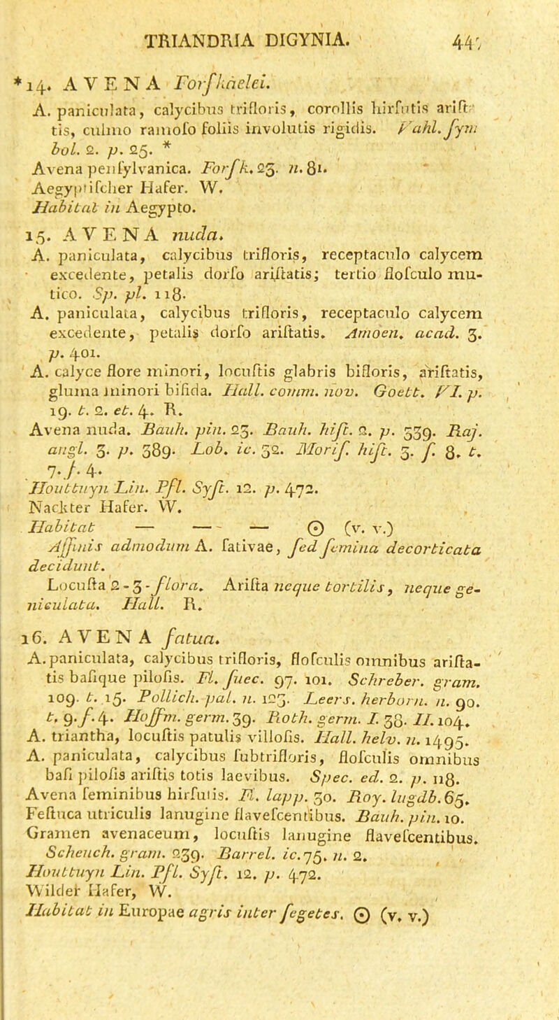 *14. A VENA Forfhneld. A. panicnlata, calydbxis trifloris, corollis lurfntis arirt  tis, culmo ramofo foliis iavoliitis rigiclis. Fahl. jjtn hoi. 2. }>. 25. * Avena pejifylvanica. Forfk,Q.'^. n.^i. Aegyptifdier Hafer. W. Hahital in Aegypto. 15. AVENA nuda* A. paniculata, calycibus trifloris, receptacnlo calycem excedente, petalis dorfo ari/tatis; tertio flofculo mu- tico. Sp. pi. ii8- A. f>aniculata, calycibus l:rifloris, receptacnlo calycem excedejite, petalis dorfo ariftatis, Amoen. acad. 3. p. 401. A. calyce flore minori, locnftis glabris bifloris, aViftatis, gluma minori bifida. Hall, cornvi. nov. Goett. VI. p. 19. b. 2. eb. 4. R. Avena nuda. Bauh. pin. 25. Bank. hifi. Q. p. 539. Raj. angl. 3. p. 589. Lob. ic. 52. Morif. hlji. 5. f 8. b. ■ 4- JToiibbnyn Lin. Fjl. SjJt. i2. p. 472. Nacjiter Hafer. VV. Ilahibab — — O v.) Ajfinis admodinn A. fativae, fed femina decorbicaba decidunb. Locufta 2-5 -flora. Arifta ncqiie bar bills, neqiie ge~ nieulaba. Hall. R. 16. AVENA fatun. A. paniculata, calycibus trifloris, flofculis omnibus arifta- tis bafique pilofis. Fl. fuec. (gq. 101. Schreher. gram. 109. ,i5' Pollich. pal. n. 123. Leers, herhorn. n. 90. b.^.f.ly. Hoffm. g<?r7U.39. Fiobh. germ. L 33. //.104. A. triantha, locnftis patulis villofis. Hall. helv. n. 1495. A. paniculata, calycibus fubtrifloris, flofculis omnibus bafi pilofls ariftis totis laevibus. Spec. ed. 2. p. u8. Avena feminibus hirfutis, Fl. lapp. 30. Roy. Ingdb.Ss. Feftuca utriculis lanugine flavefcentibus. Bauh. pin. lo. Gramen avenaceum, locnftis lanugine flavefcentibus. Schench. gram. 239. Barrel, ic.q^.n. 2. Iloubbuyn Lin. Pfl. Syfb. i2. p. 472. j Wilder Hafer, W, Ilabibab inKmoYAQ agris inber fcgebes. © (v, v.)